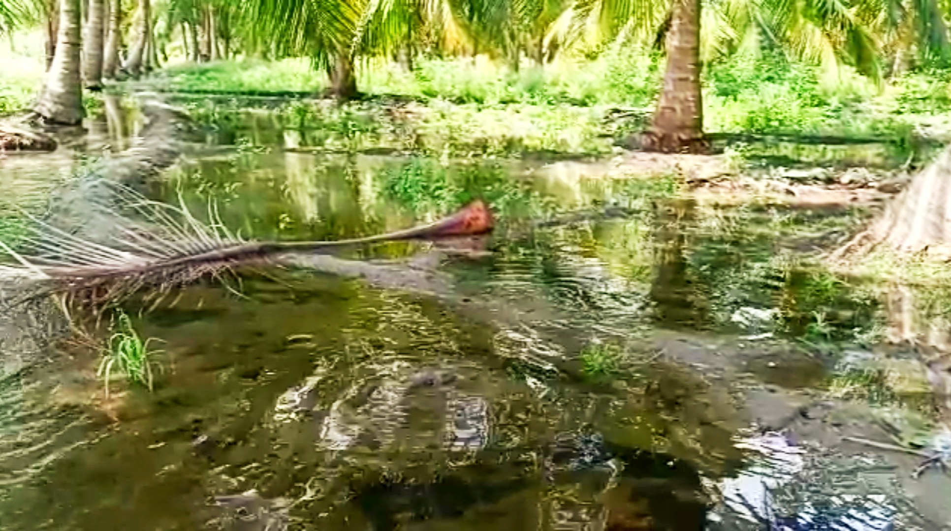 namakkal hevay rains