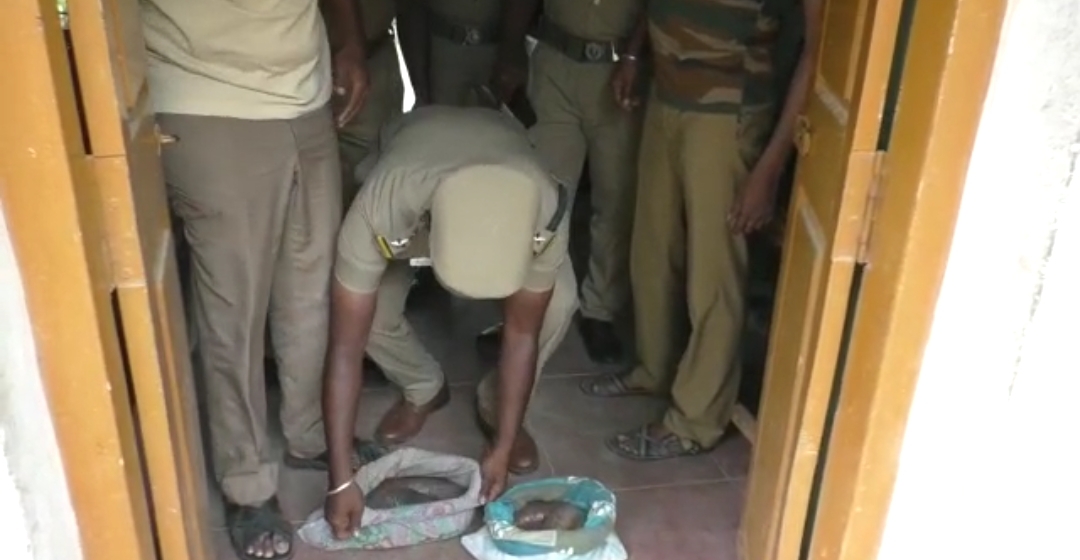 Namakkal, Kerala,snake,rare, smuggling, arrested  Rasipuram Snake smuggling  மண்ணுளி பாம்பு  கடத்தல்  மண்ணுளி பாம்புகளை கடத்திய விவகாரம்  நாமக்கல் மண்ணுளி பாம்புகளை கடத்திய விவகாரம்  நாமக்கல் செய்திகள்  குற்றச் செய்திகள்  namakkal news  namakkal latest news  namkkal snake smuggling  snake smuggling  smuggling  crime news