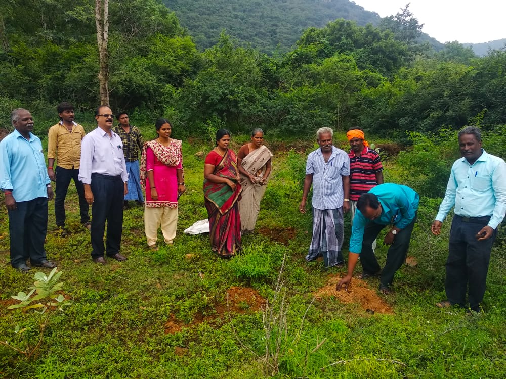 பனை விதை நடும் பேராசிரியர்கள்