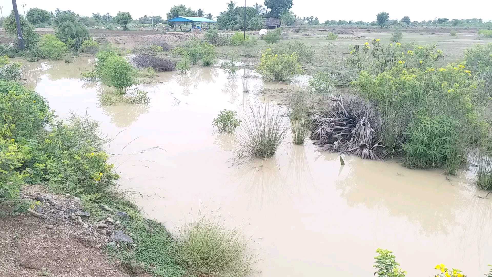 perambalur receives rainfall with average 25.27 millimeter