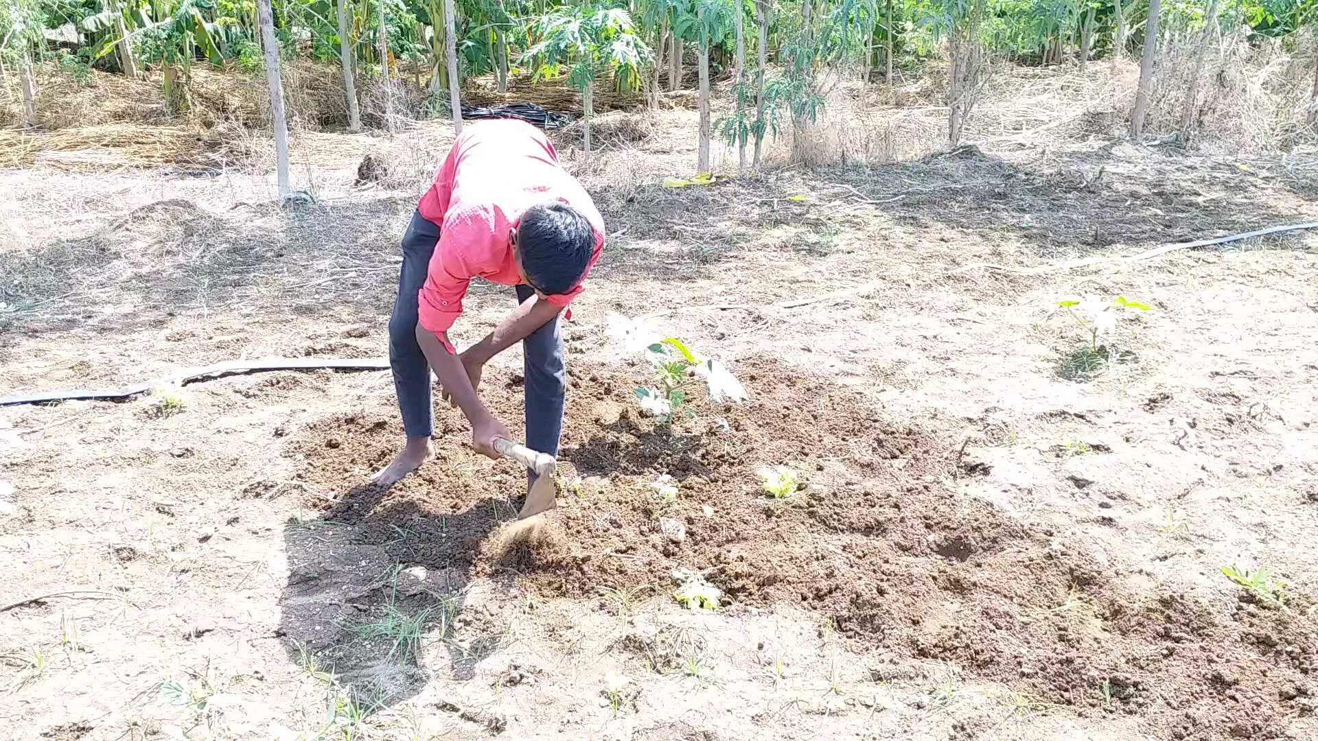 perambalur