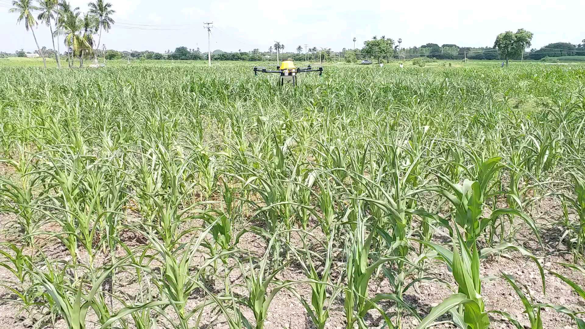 பெரம்பலூர்