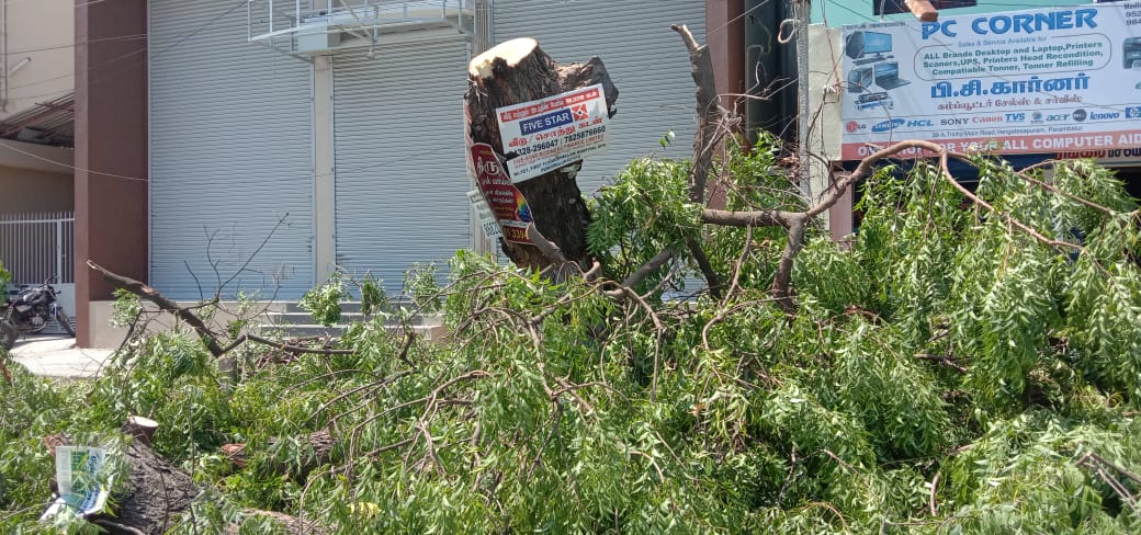 perambalur 3 shopping complex owners fined by corportion for cutting down the trees