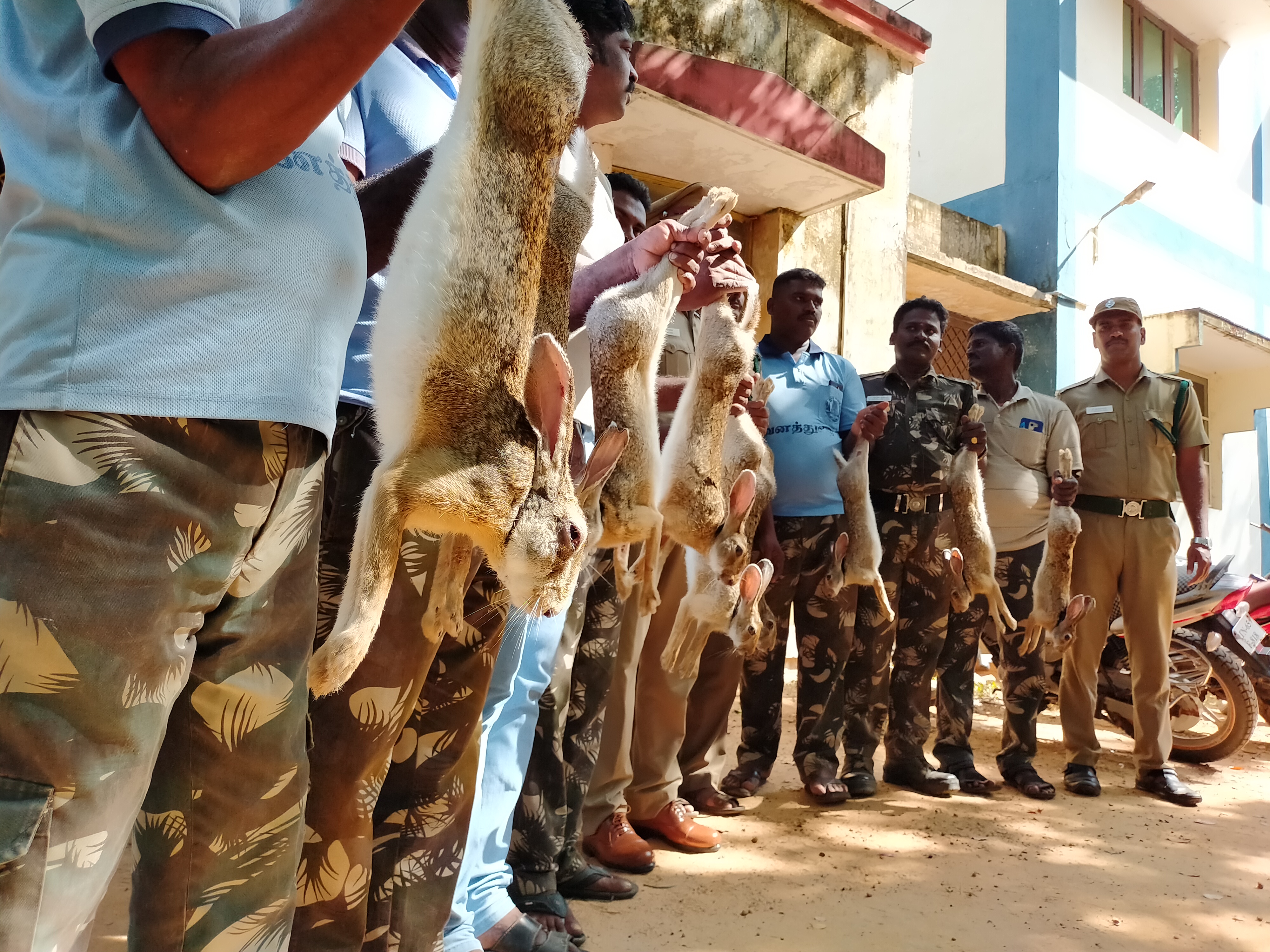 in ramanathapuram foresters-secured-9-haresand one poacher-detained