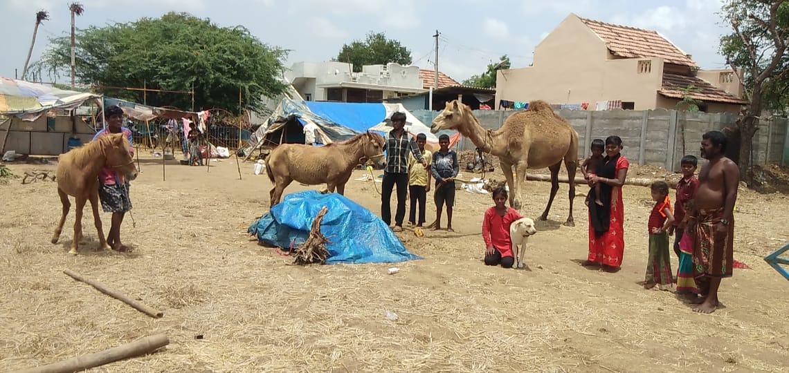 வளர்ப்புப் பிராணிகளுடன் சர்க்கஸ் தொழிலாளர்கள்