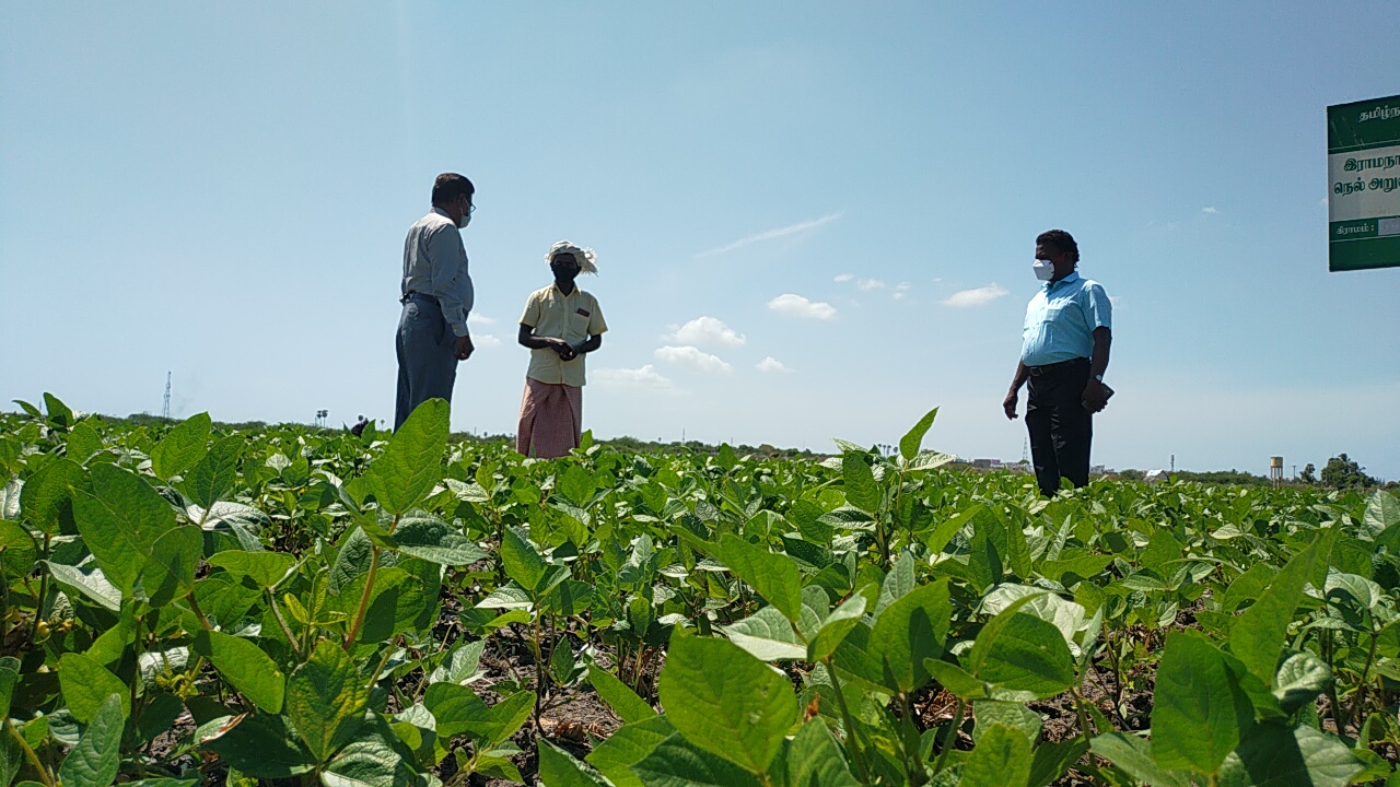 second-crop-farming-ramanathapuram-succeed