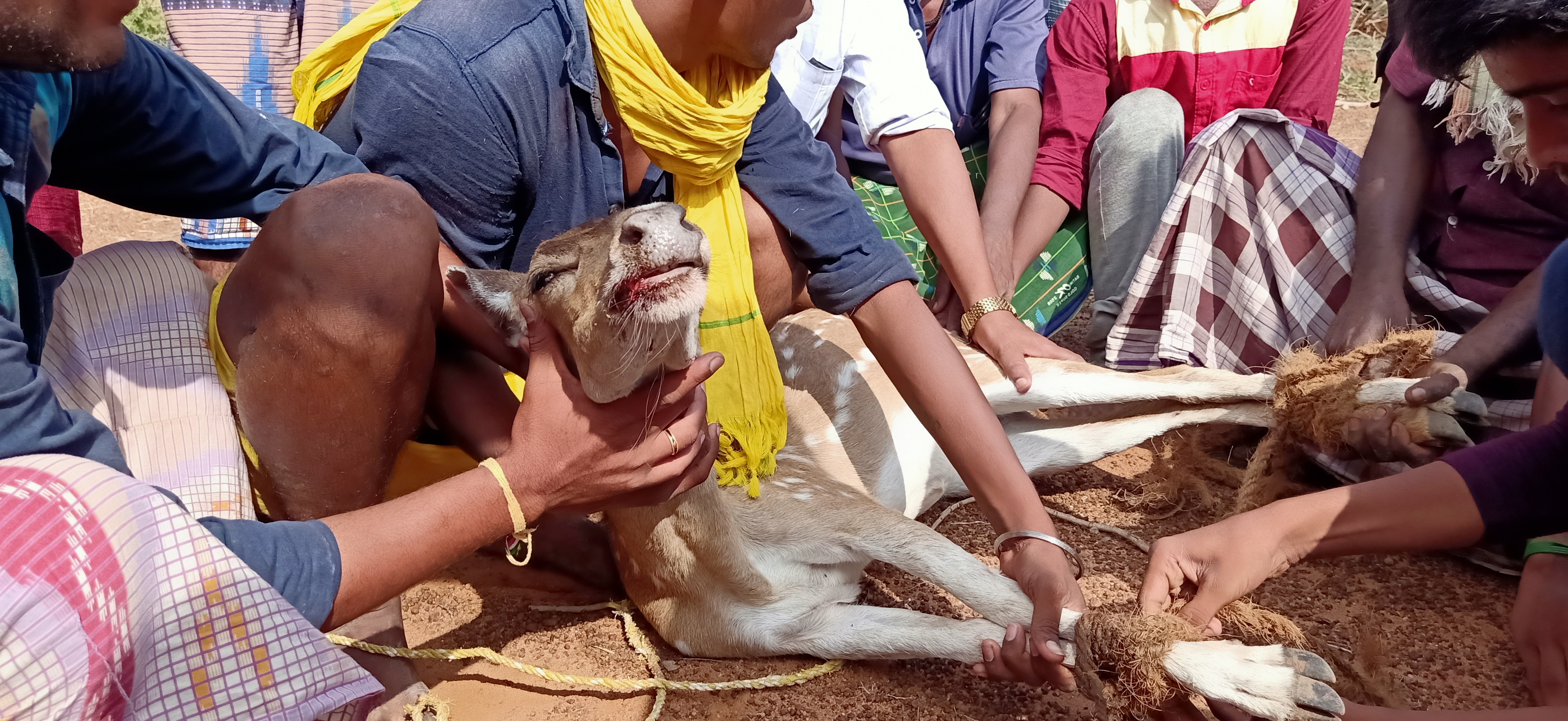 Sivagangai