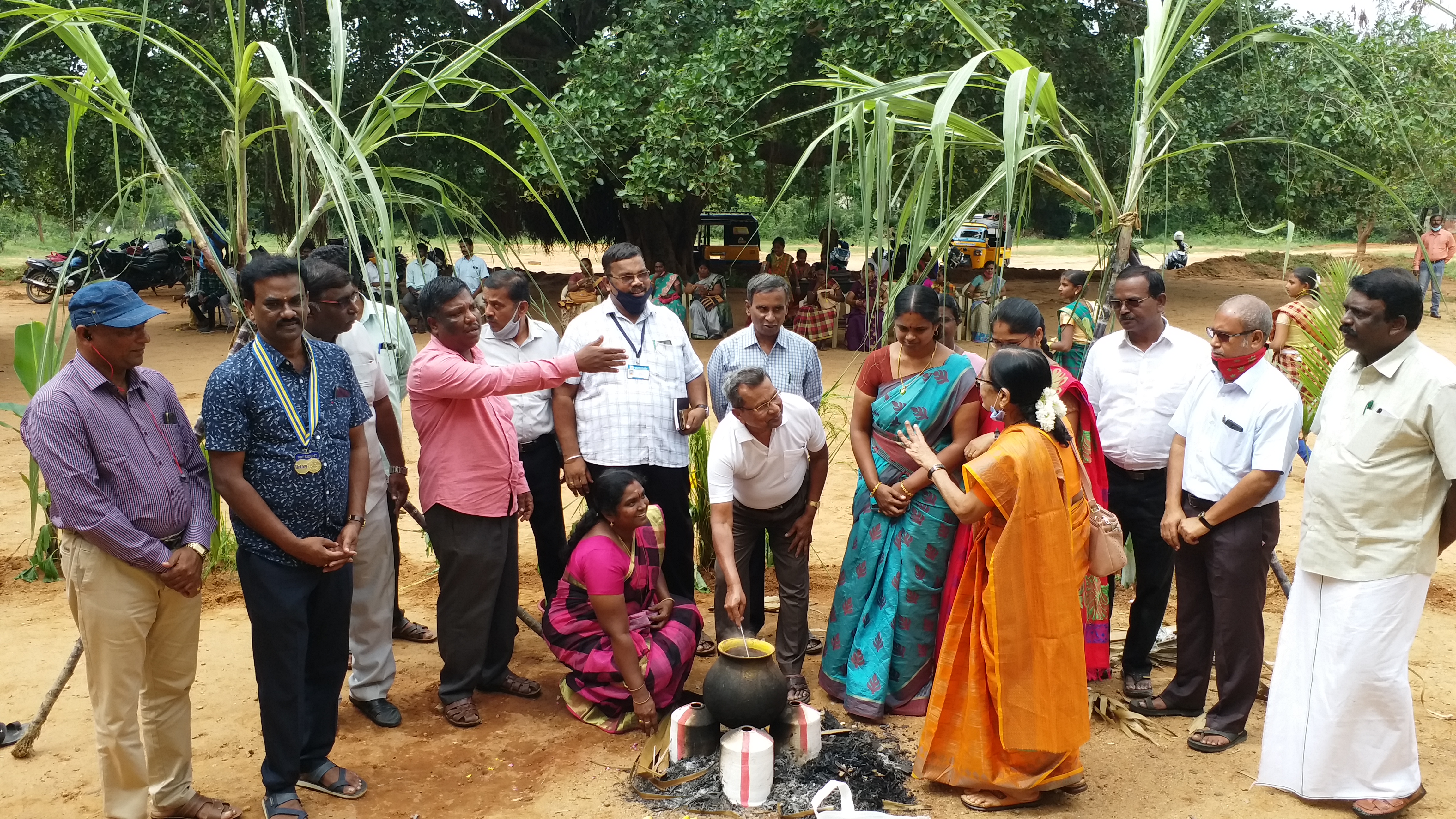 தை திருநாள் கொண்டாட்டம்