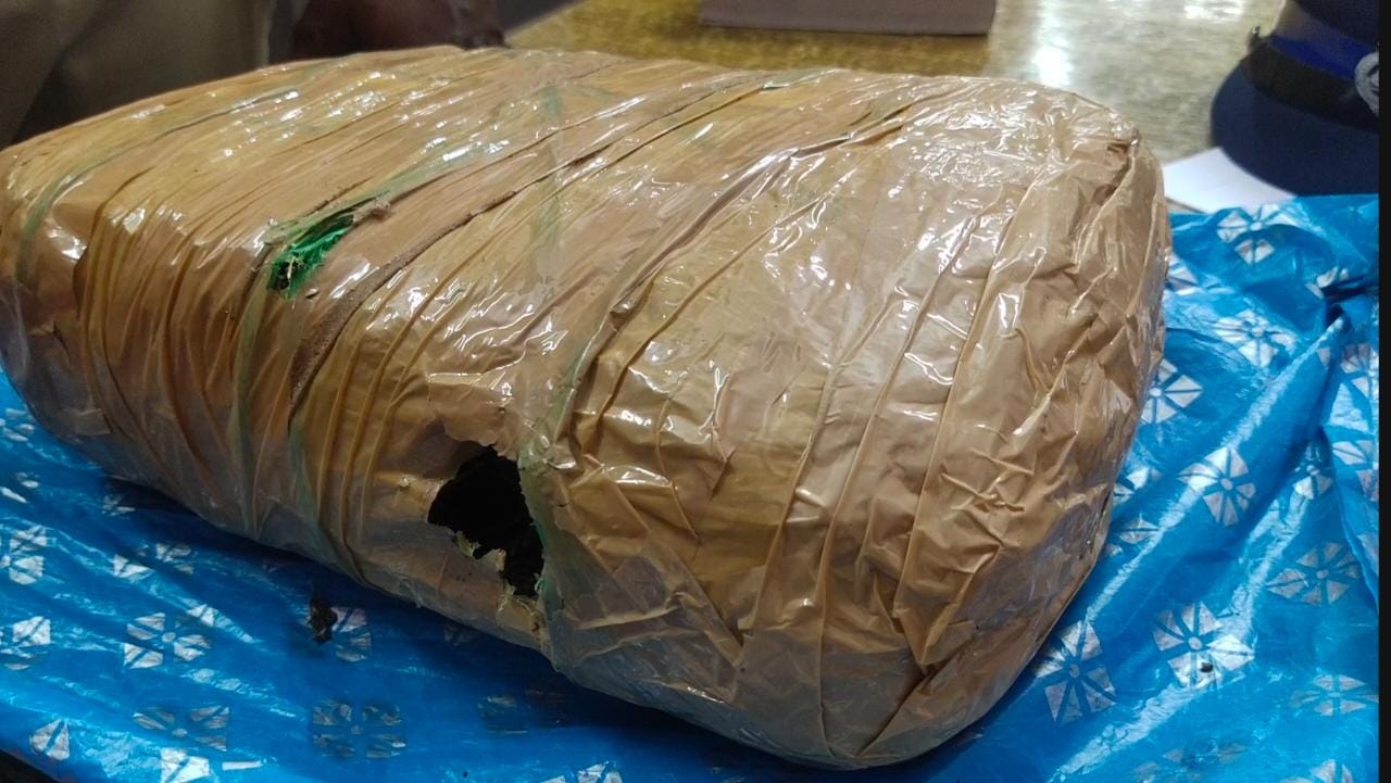 vellore 2 youngsters arrested for illegally bringing ganja from andhra