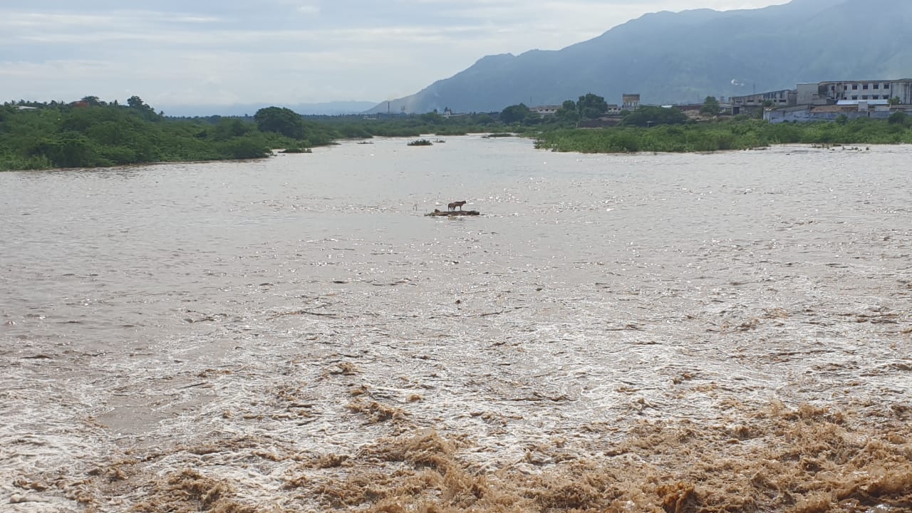 district collector amar palar river water overflow