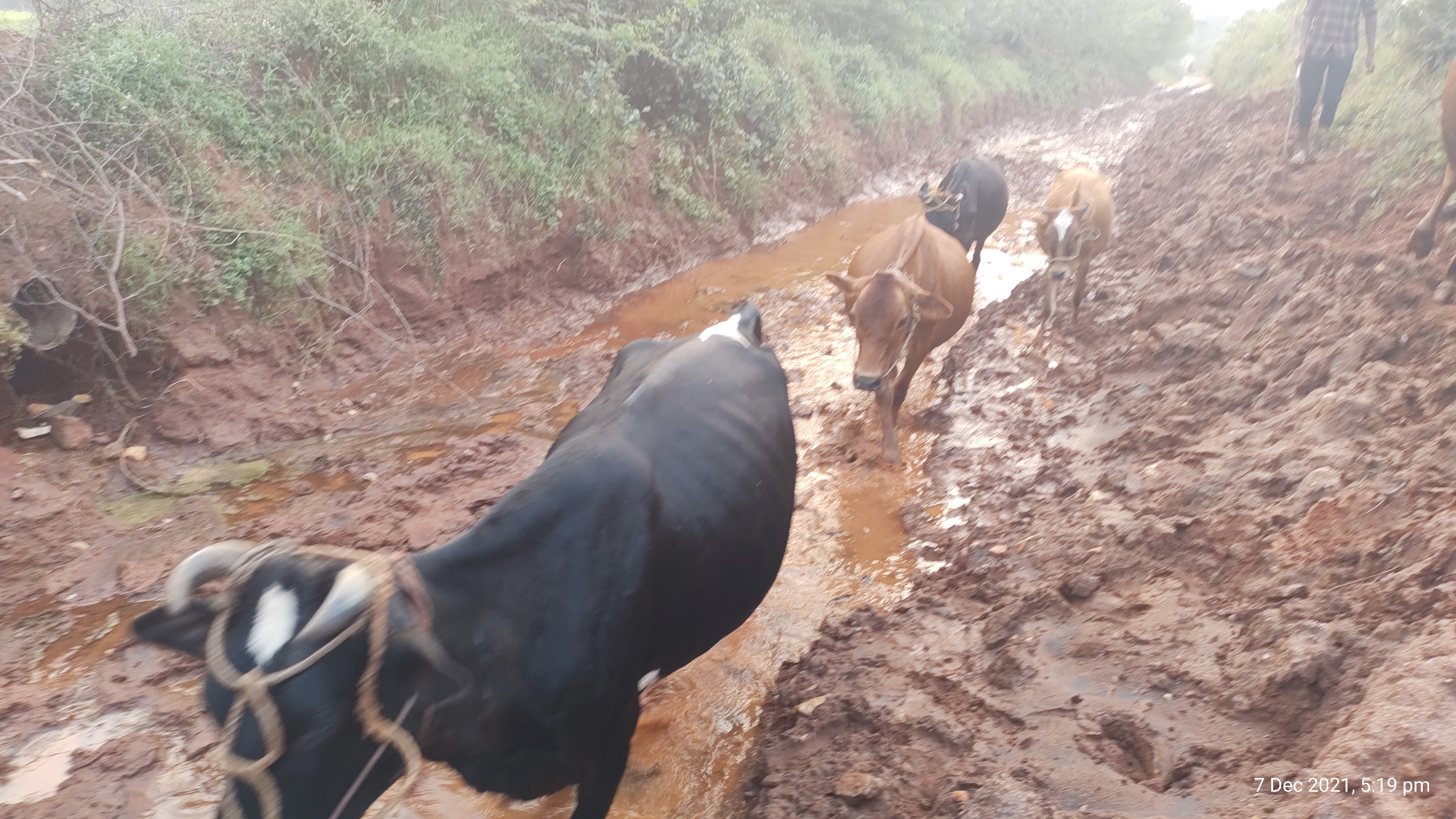 road problem in manapparai