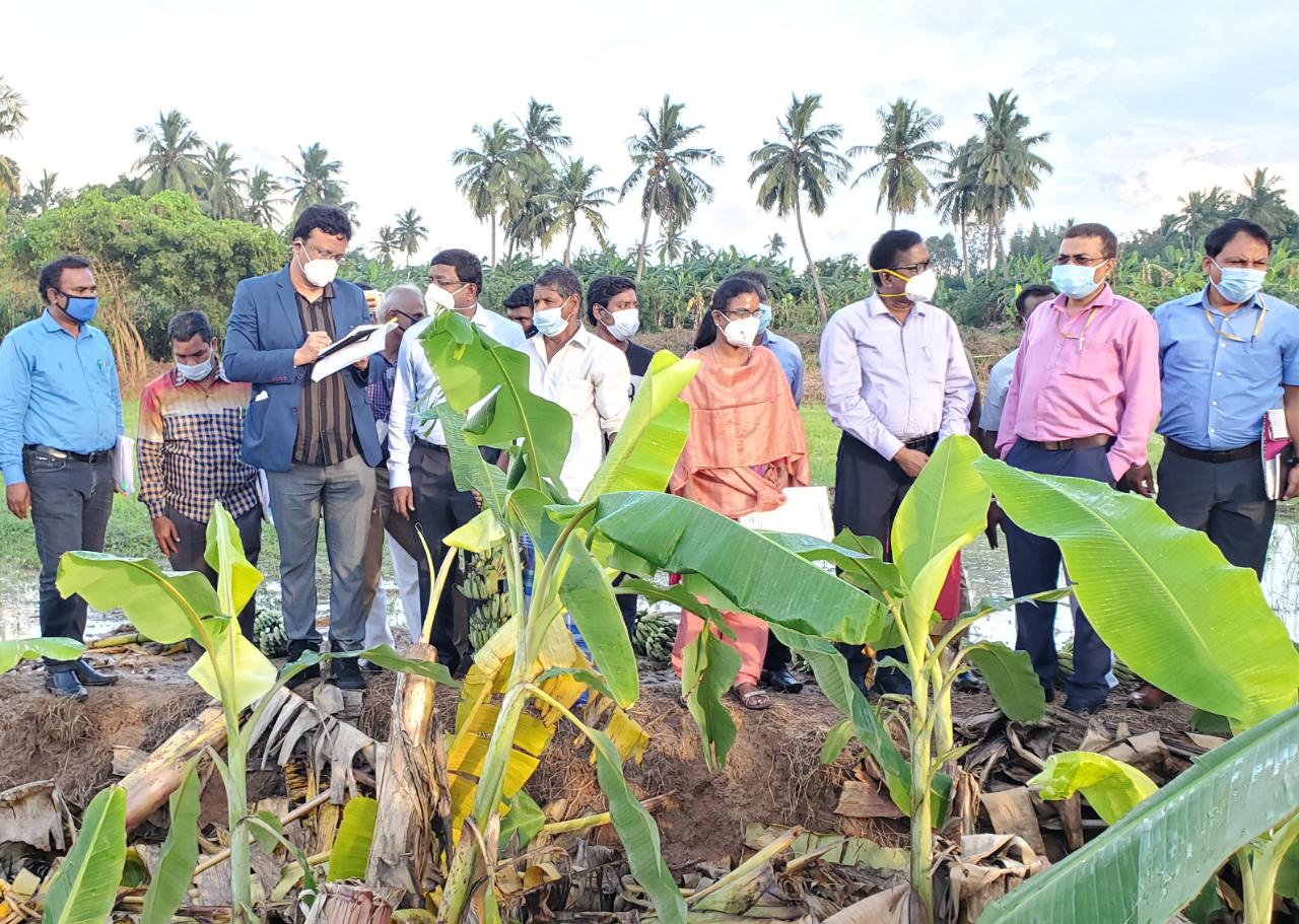 ஆய்வு செய்த மத்திய குழுவினர்