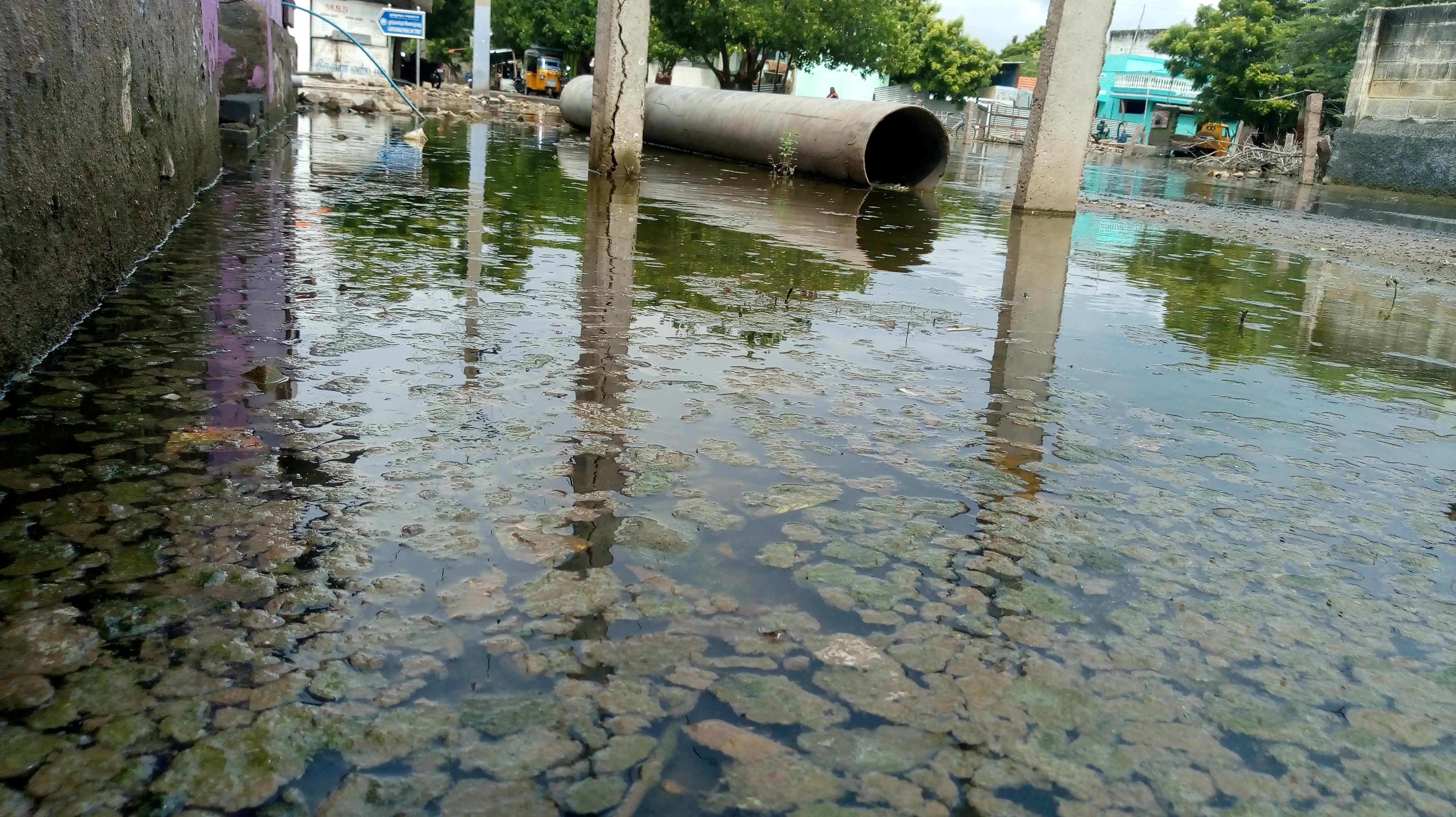 additional collector inspected rain affected areas  tuticorin rain affected areas  மழை நீரால் பாதிக்கப்பட்ட பகுதிகளை பார்வையிட்ட சட்டப்பேரவை உறுப்பினர் கீதாஜீவன்  மழை நீர் புகுந்த குடியிருப்புகள்