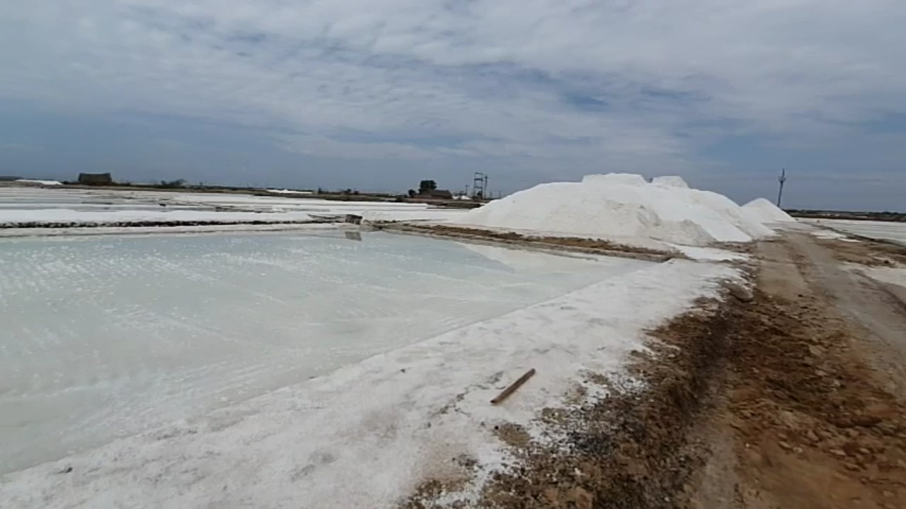 will-tamil-nadu-come-forward-to-protect-the-livelihood-of-salt-workers