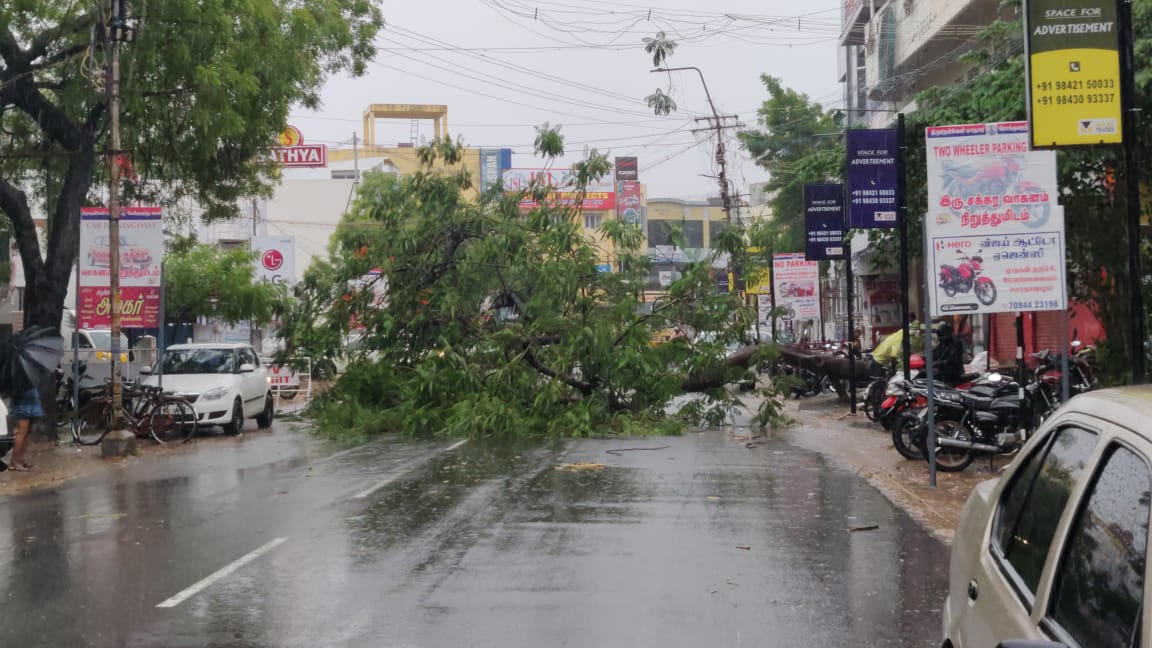 நெல்லையில் வெளுத்து வாங்கும் கன மழை