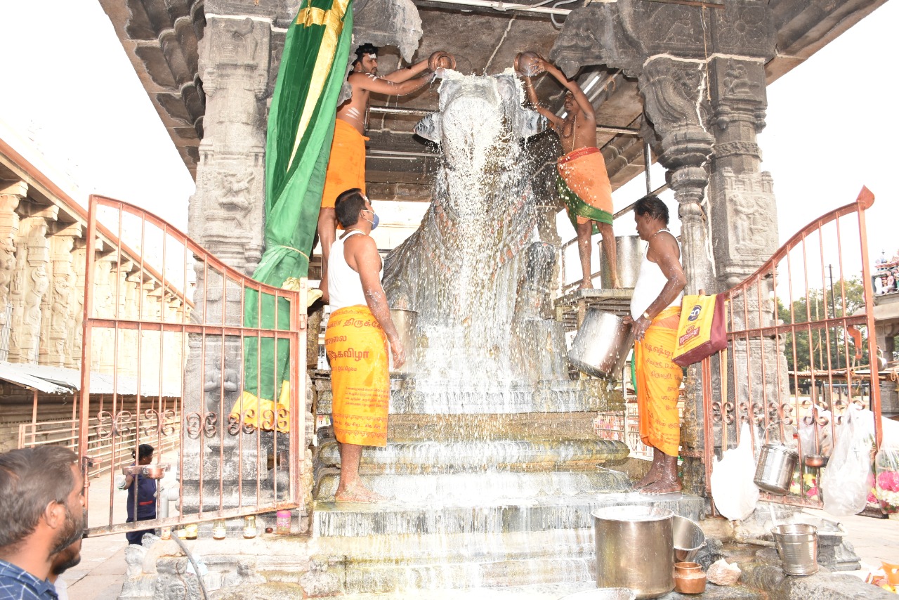 Pradosa worship at the Annamalaiyar Temple in Thiruvannamalai