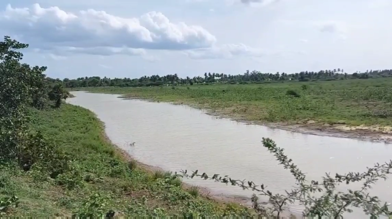 tiruvannamalai-farmers-complains-on-a-man-who-breaks-lake-shore-and-steals-water