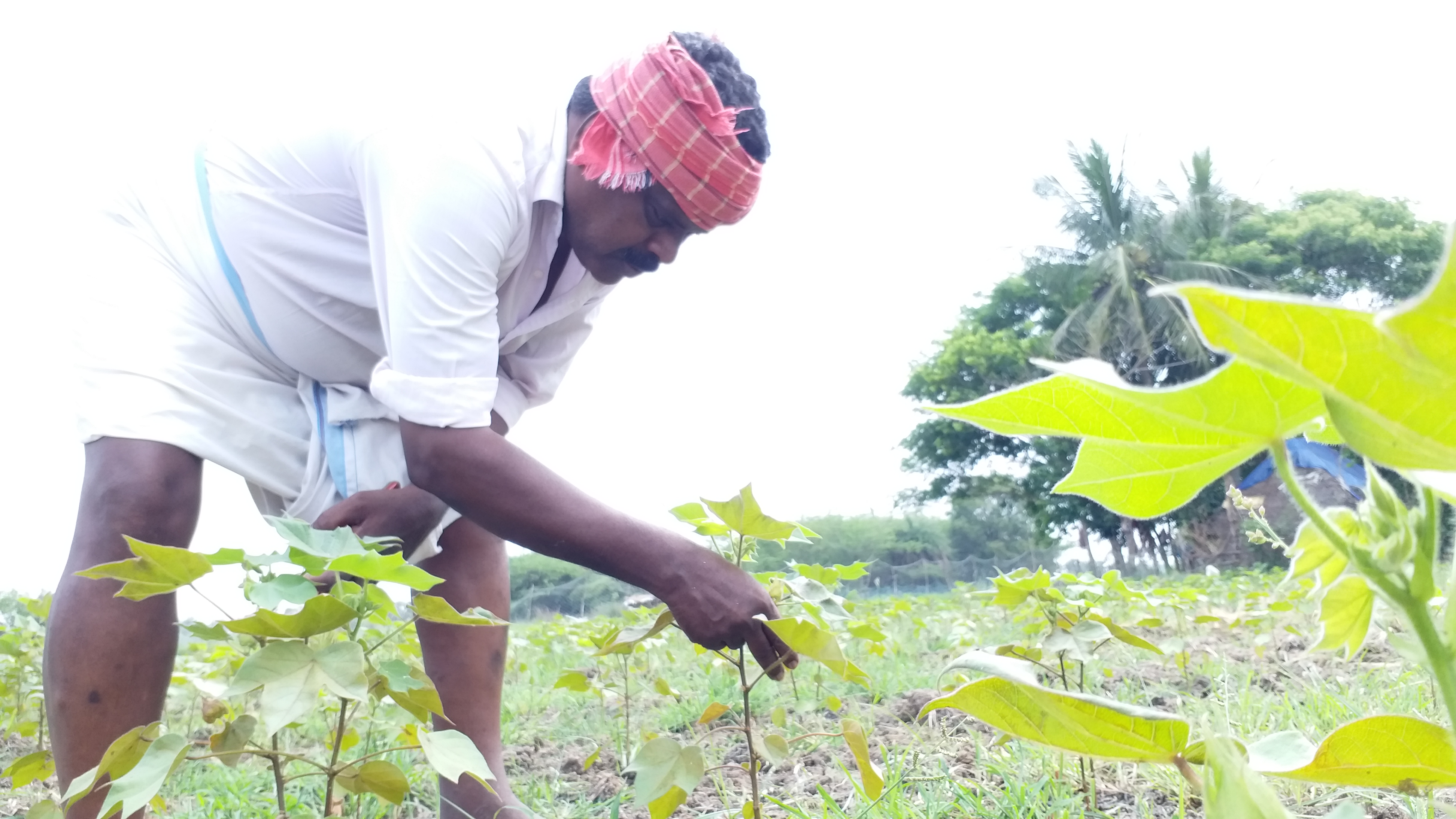 விவசாயிகள் கோரிக்கை