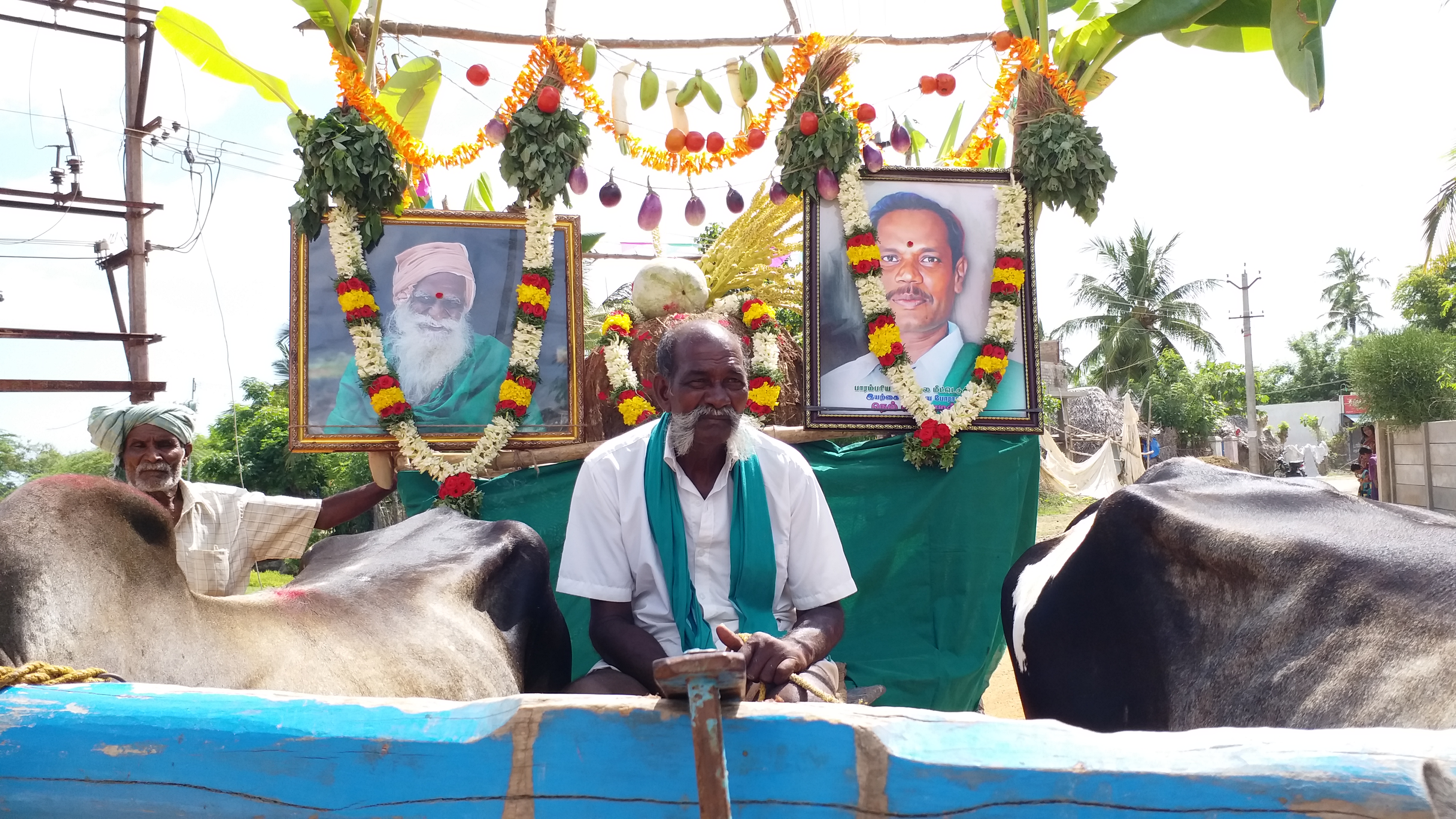 paddy festival