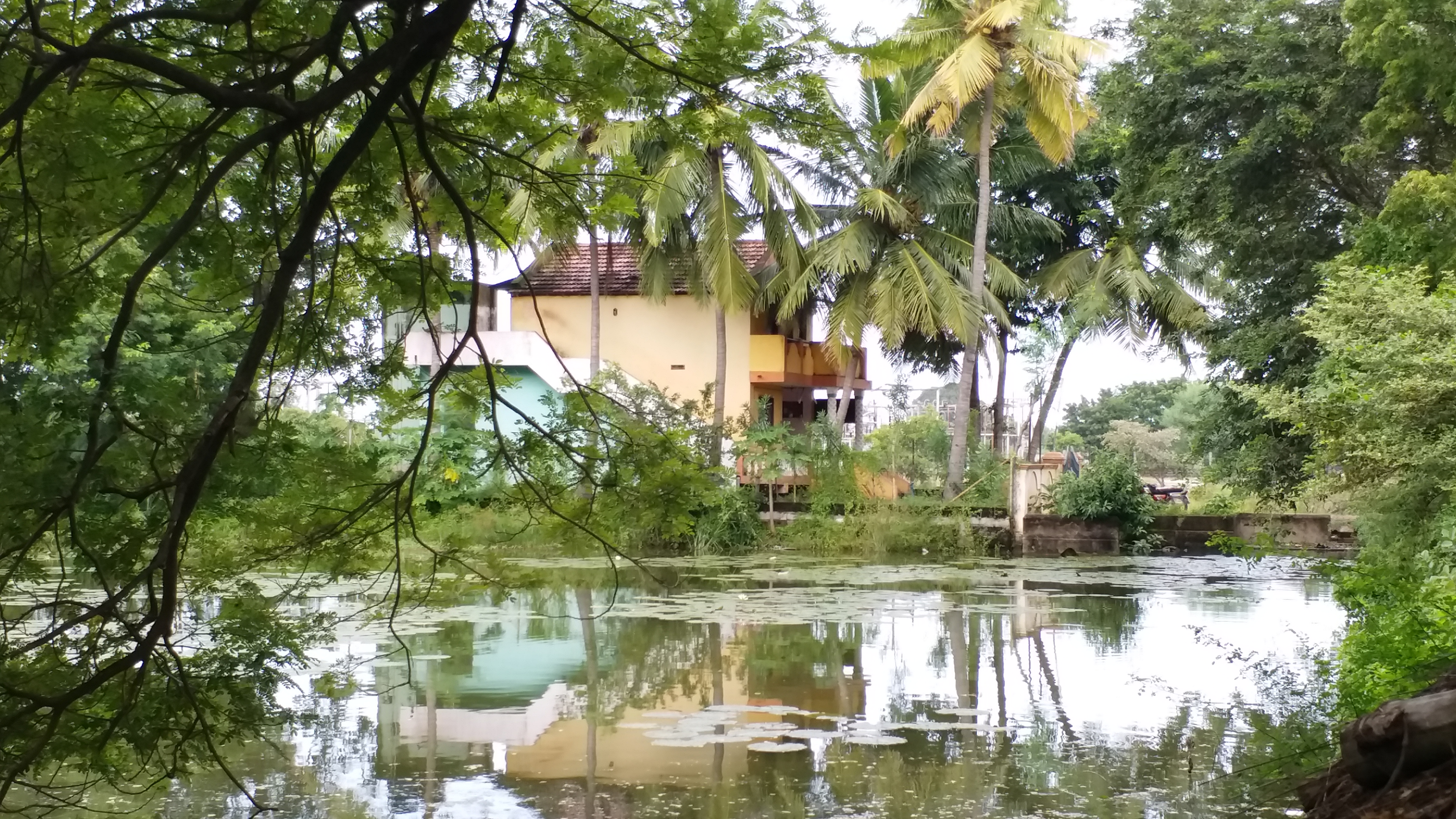 தூர்வாராமல் கிடக்கும் குளம்!