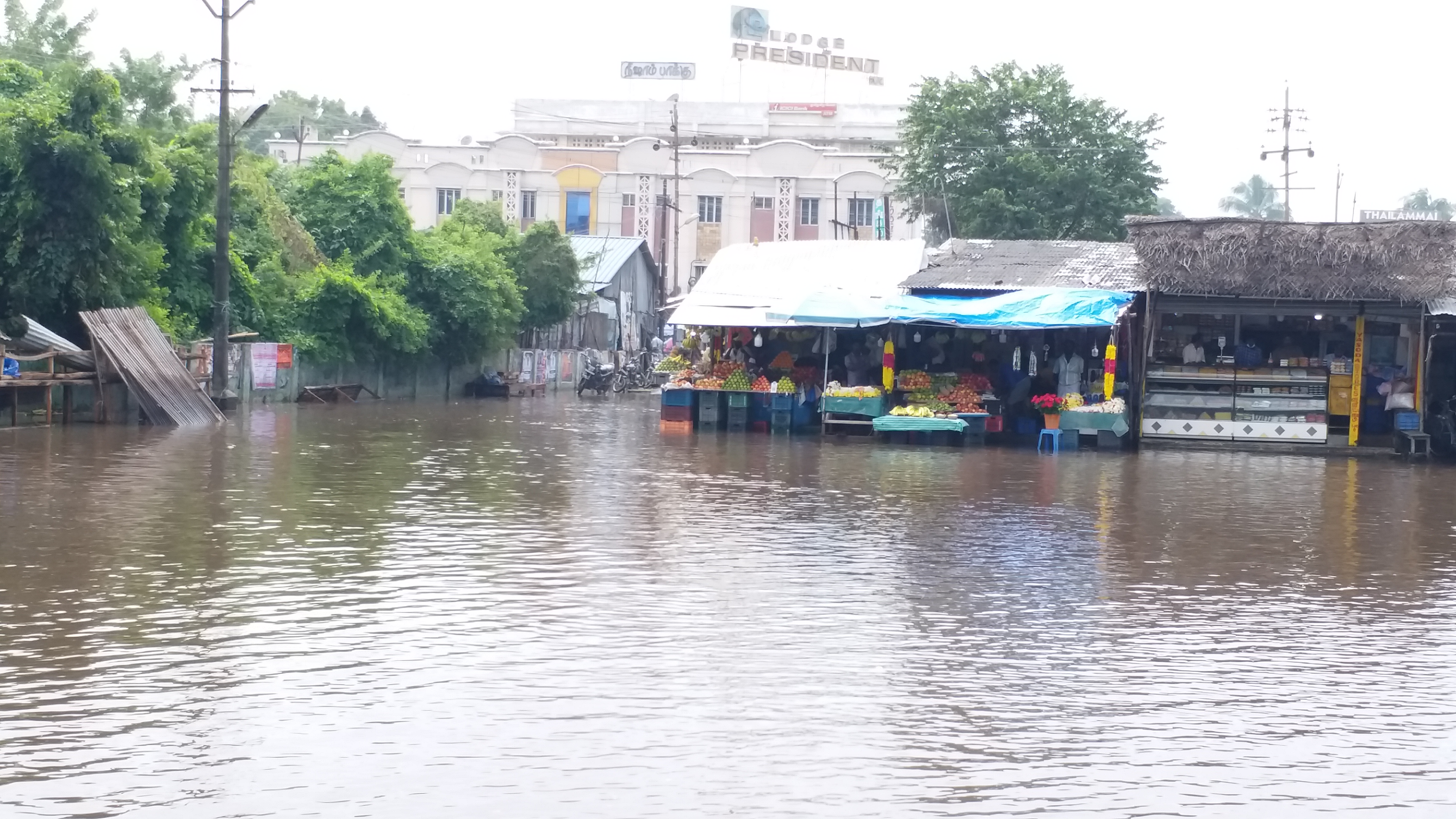 சாக்கடை நீருடன் மழை நீர் சேர்ந்து குளம் போல் காட்சியளிக்கும் அவலம்