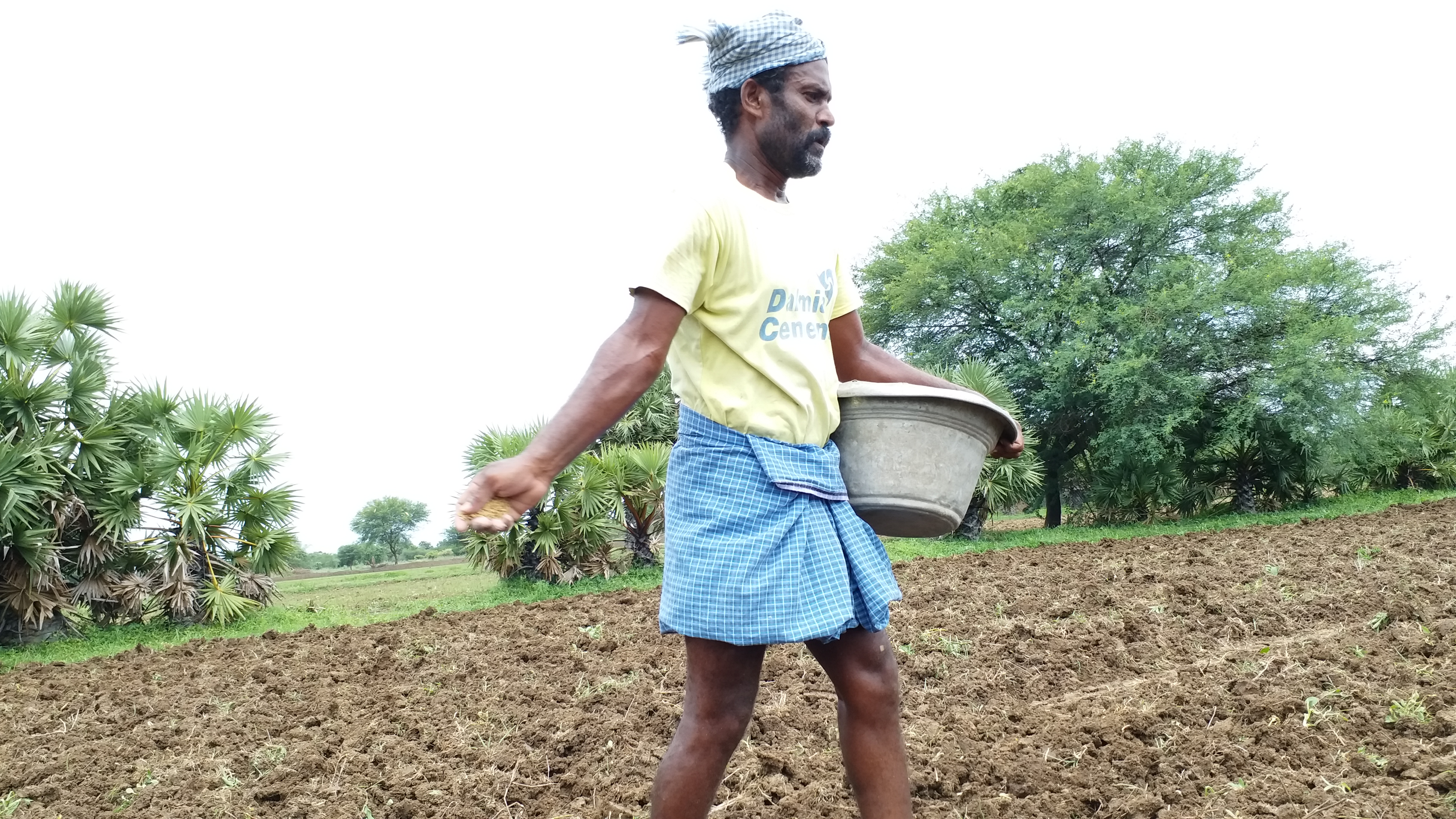 farmers demands on crop insurance, crop insurance issue in tiruvarur, பயிர் காப்பீடு, பயிர் தொழில் பழகு