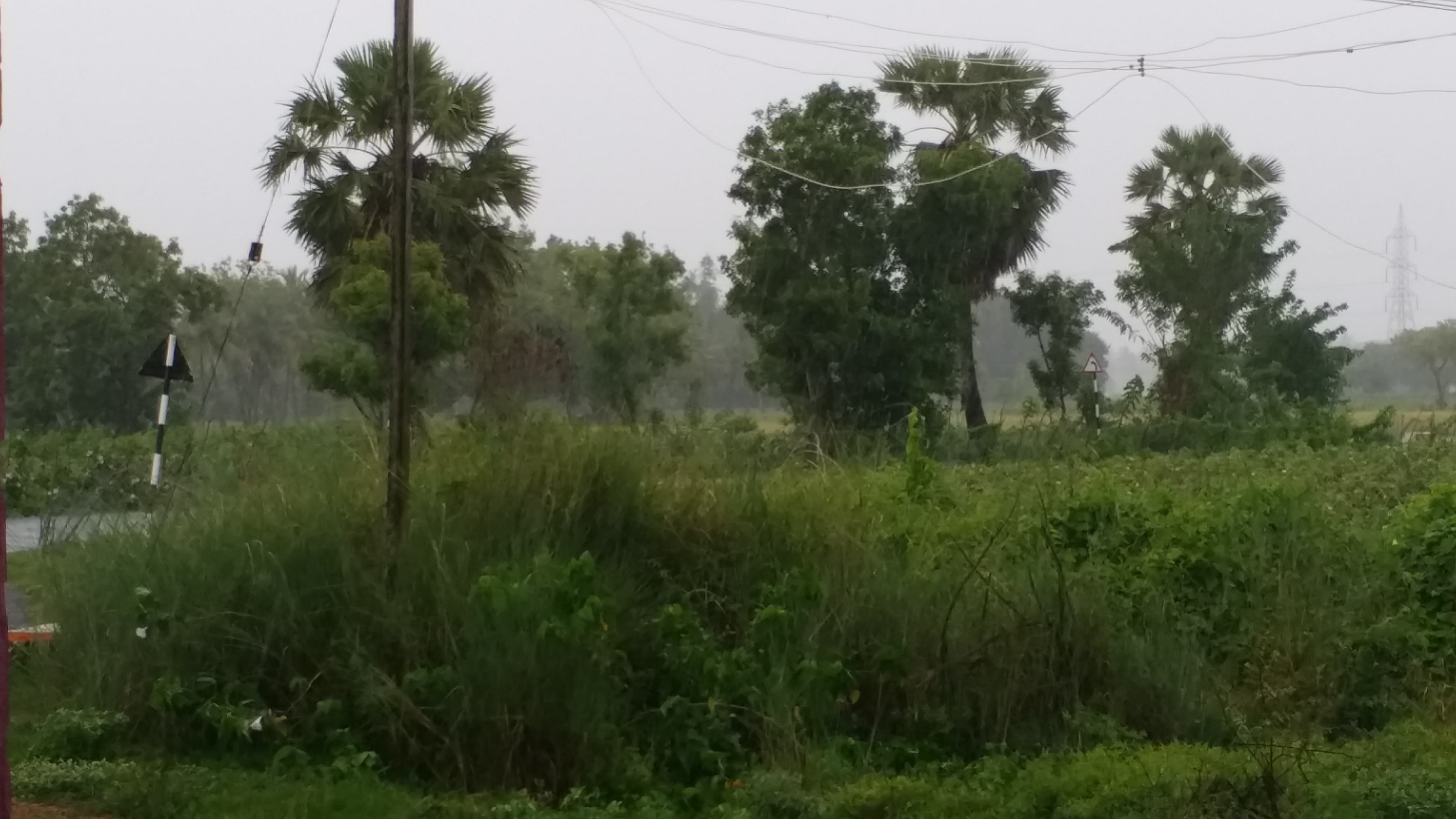 chennai met forecast today