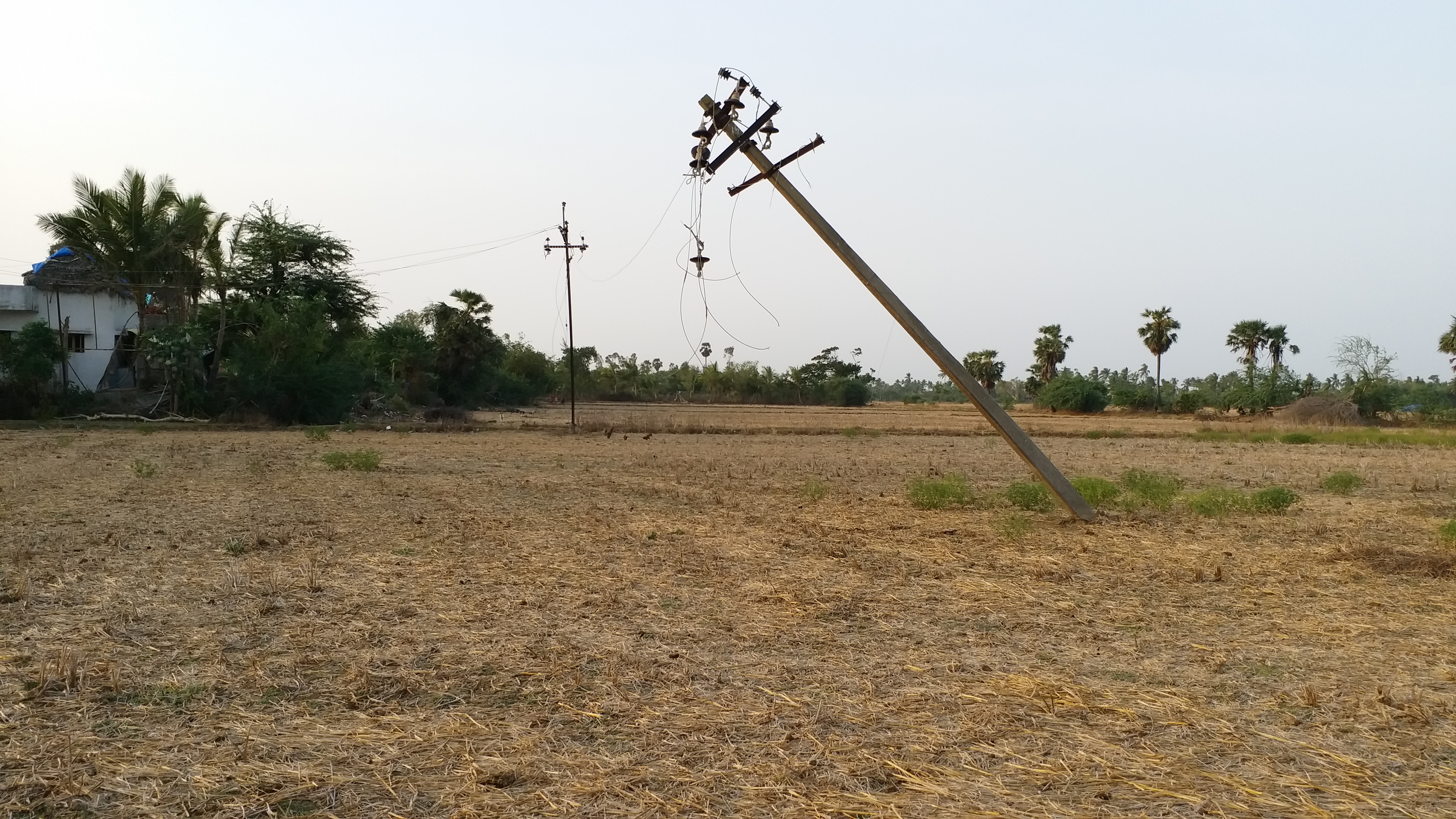 திருத்துறைப்பூண்டி தாலுகா முழுவதும் ஆயிரக்கணக்கான மின்கம்பங்கள் சரிந்து விழுந்து சேதமானது