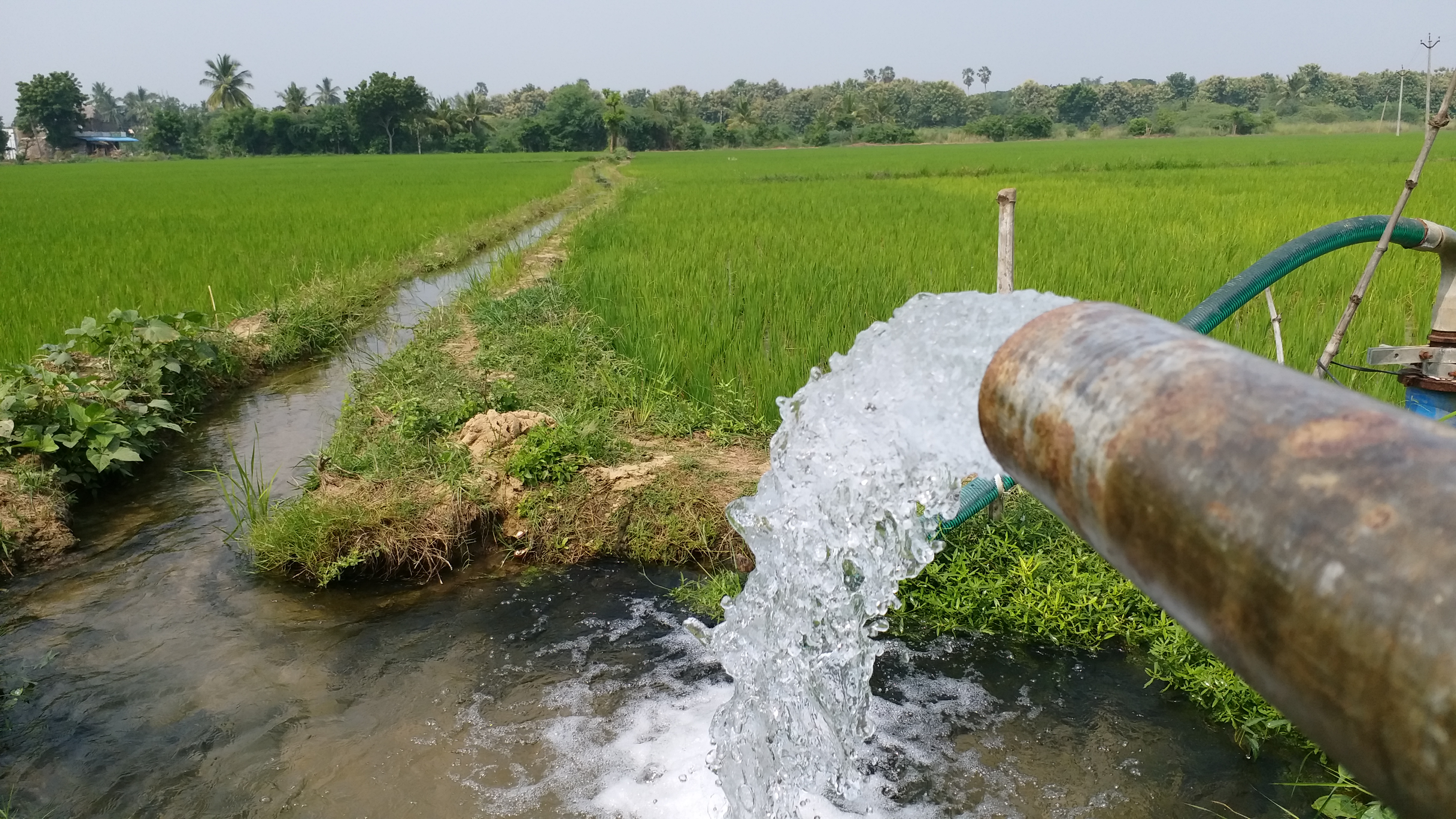 மும்முனை மின்சாரத்தை நம்பி இயங்கும் பம்பு செட்