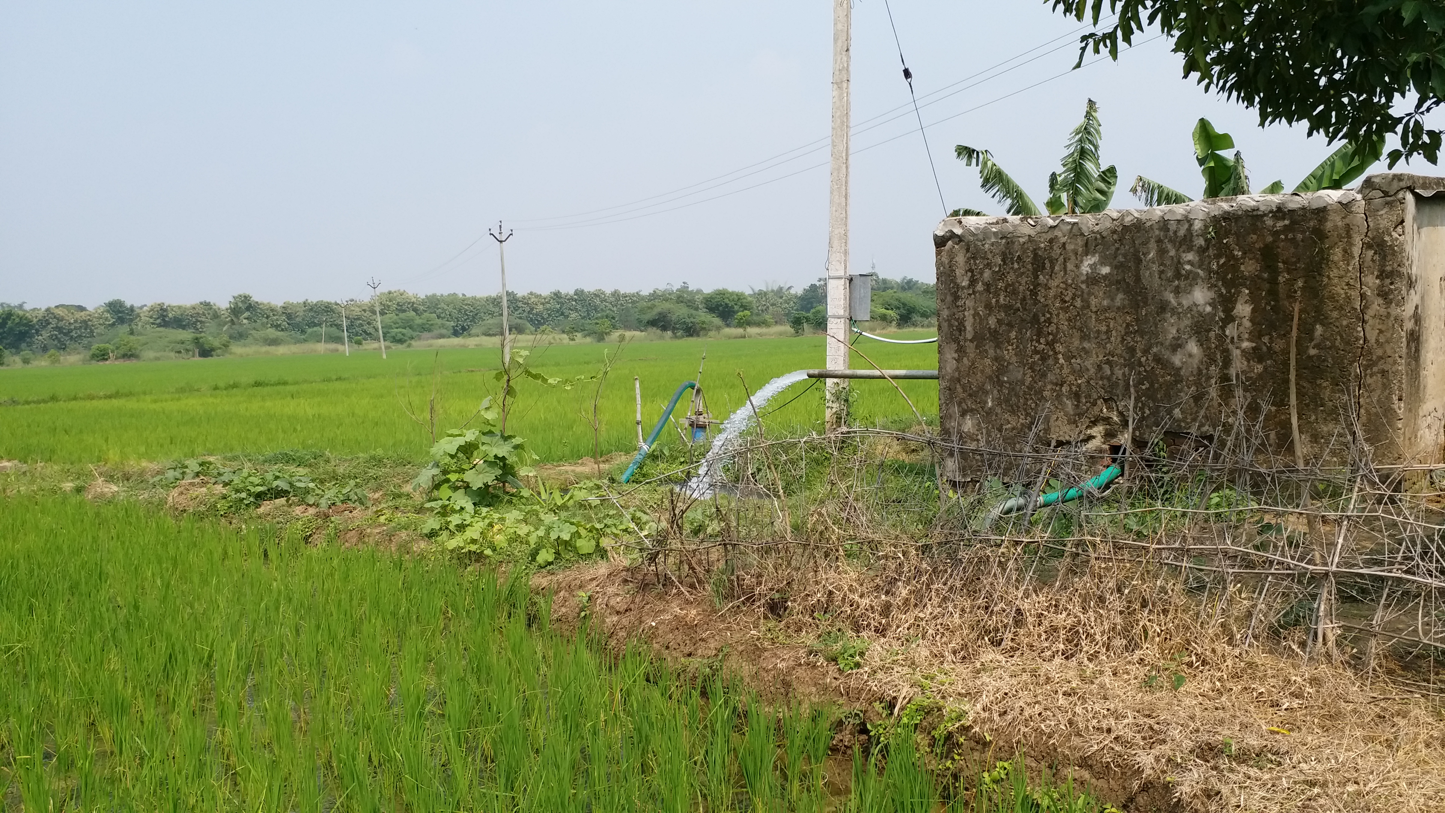 பயிர்த்தொழில் செய்குவோம்