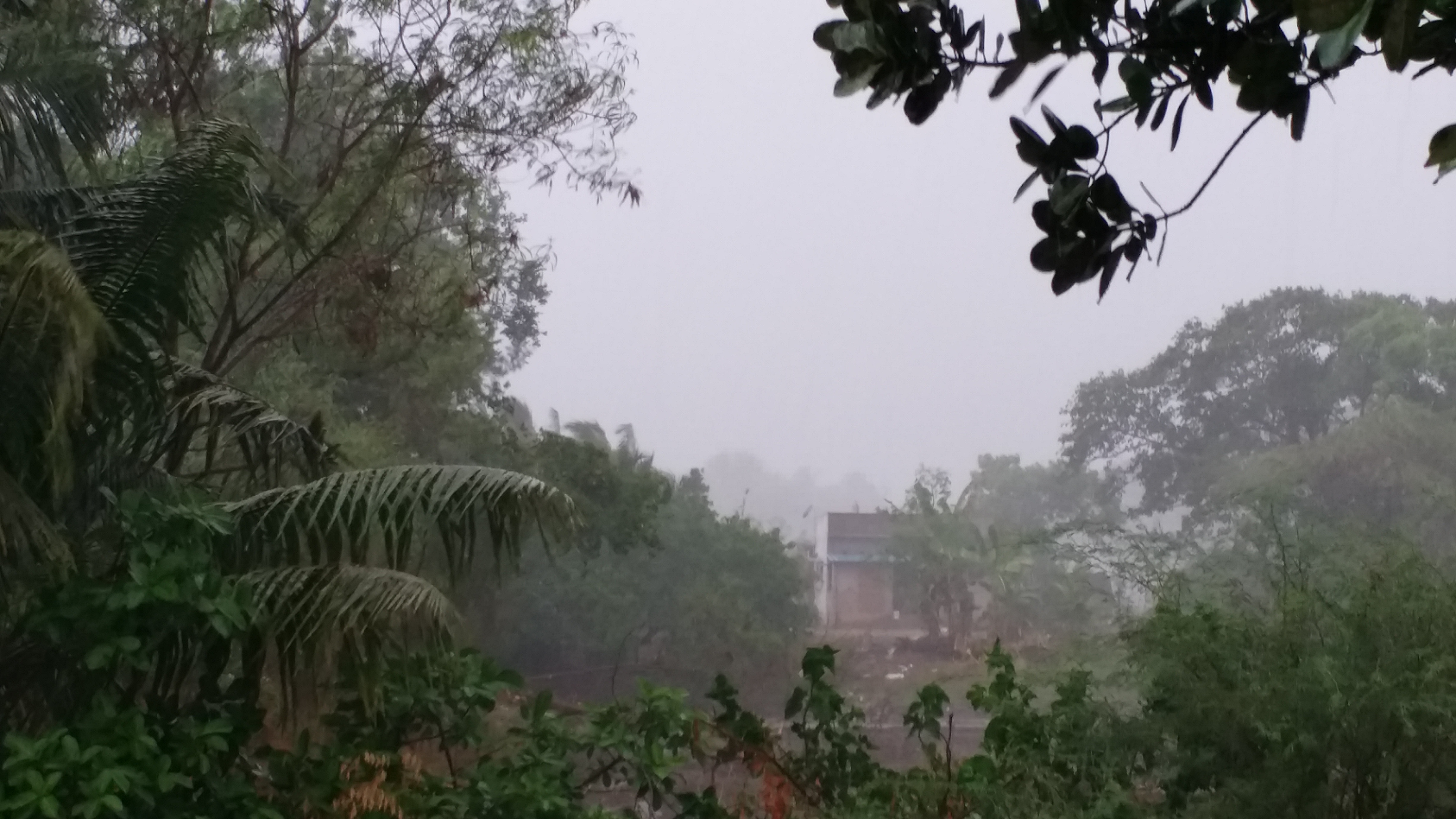 Thunderstorms with heavy rain in parts of Tamilnadu