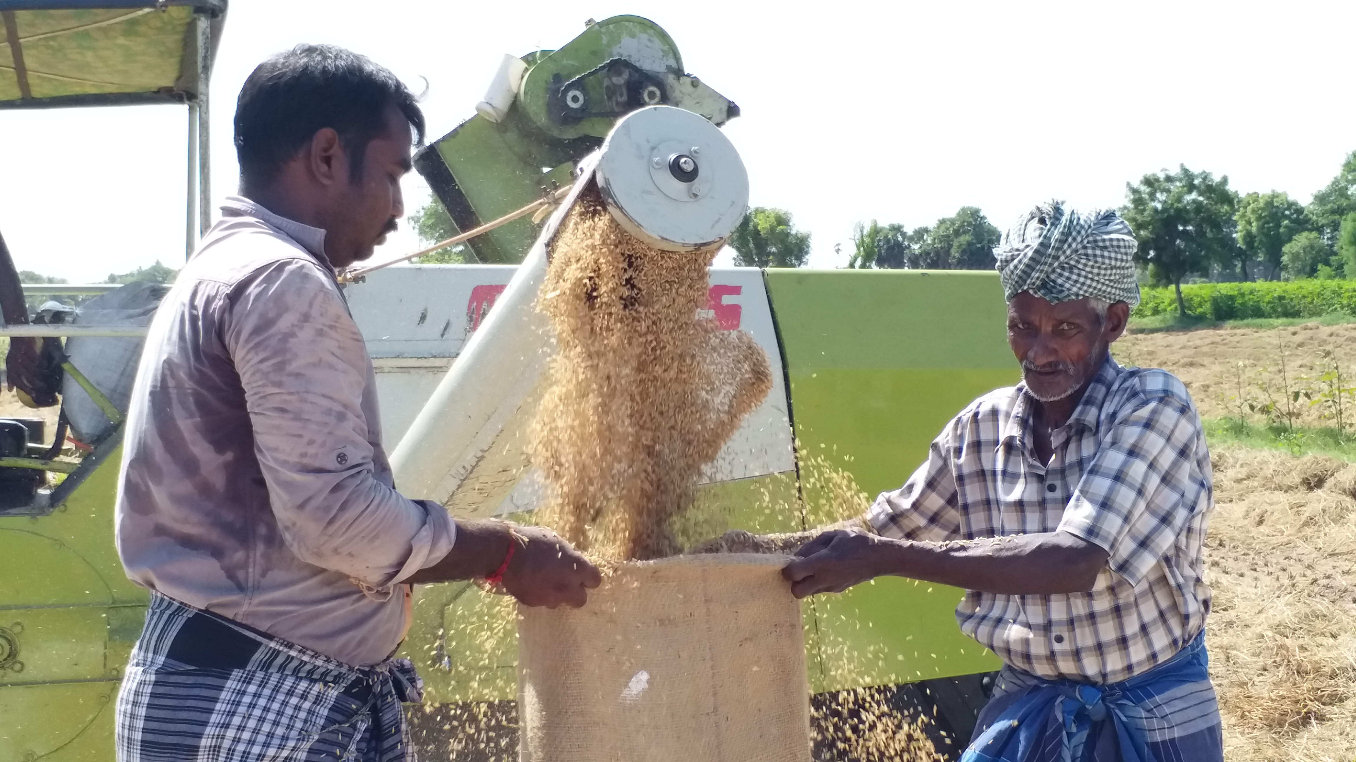 திருவாரூர் மாவட்டச் செய்திகள்  thiruvarur district news  kollumaangudi  paddy purchesing station  thiruvarur news  thiruvarur latest news