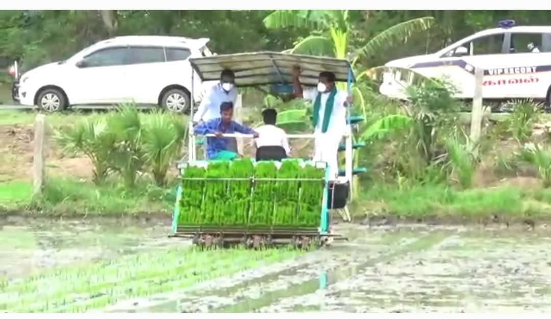 நடவு பணிகளை ஆய்வு மேற்கொண்ட அமைச்சர் காமராஜ்