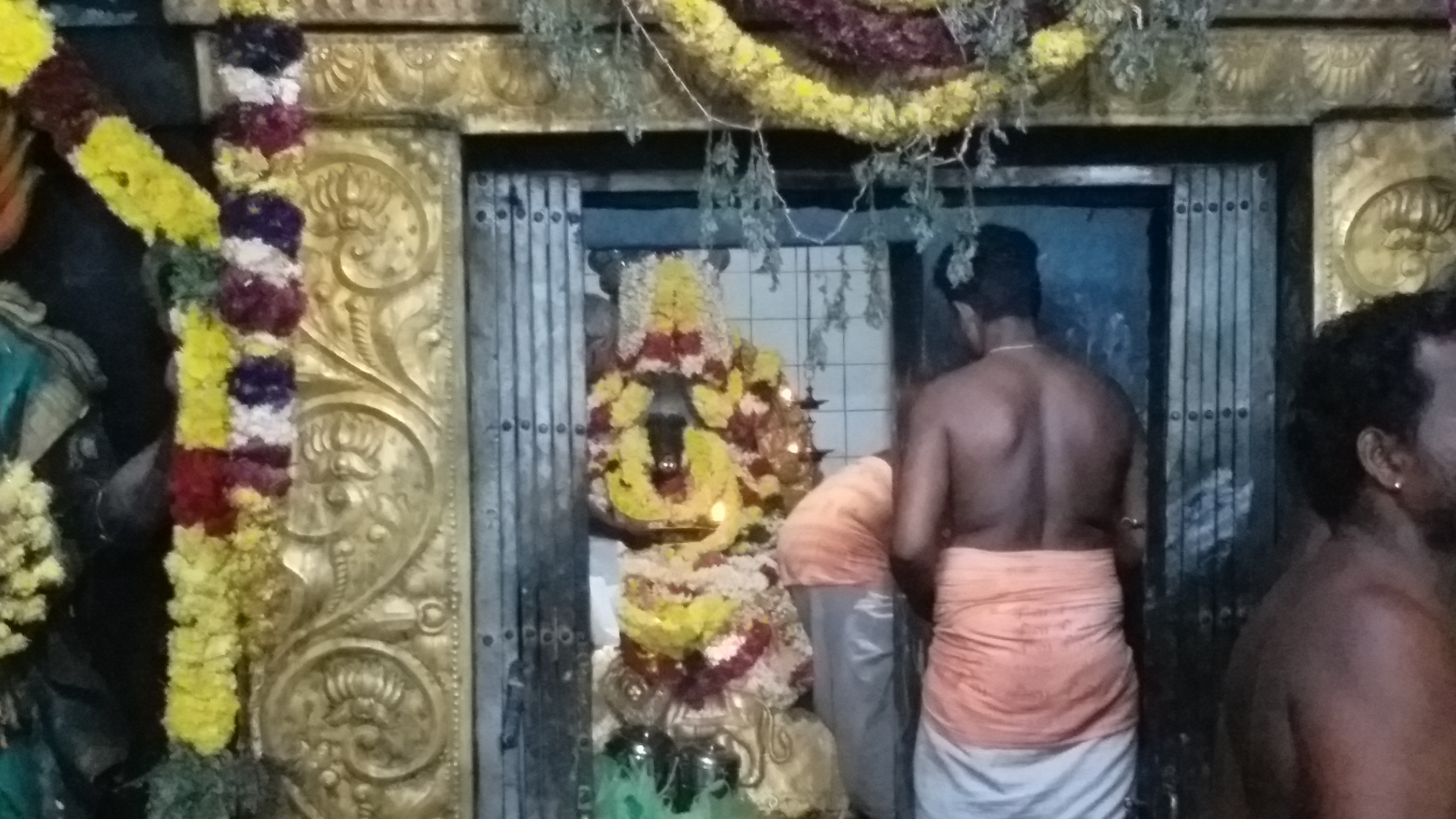 மாரியம்மன் கோயில் தீமிதி திருவிழா