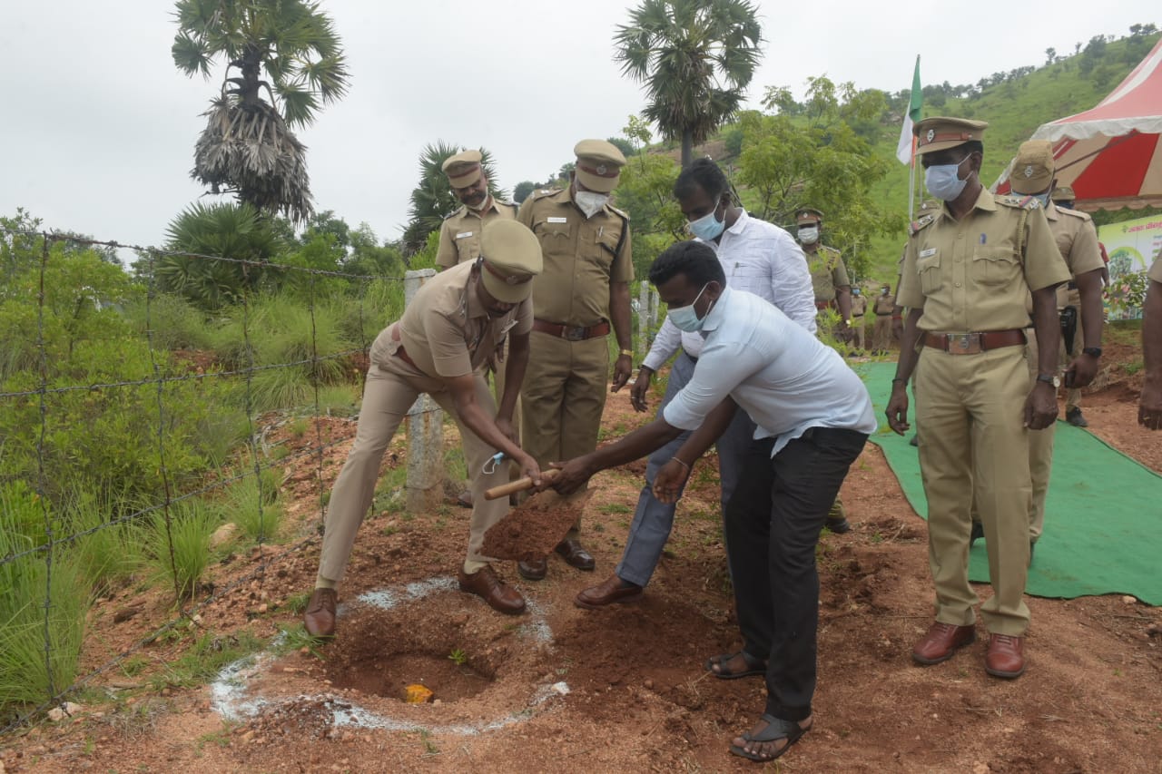 பனை விதைகளை நடும் காவலர்கள், வேலூர், VELLORE