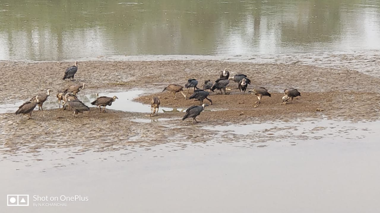 Tripura to declare Teliamura as its wildlife capital