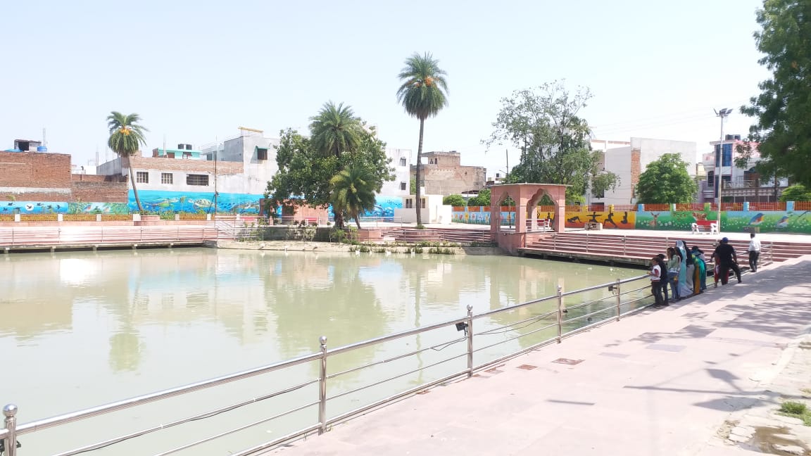 कानपुर का अनोखा कछुआ तालाब