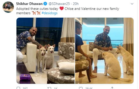 Shikhar Dhawan, India, Pets, social media