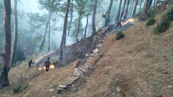 fire in someshwar forest panchayat