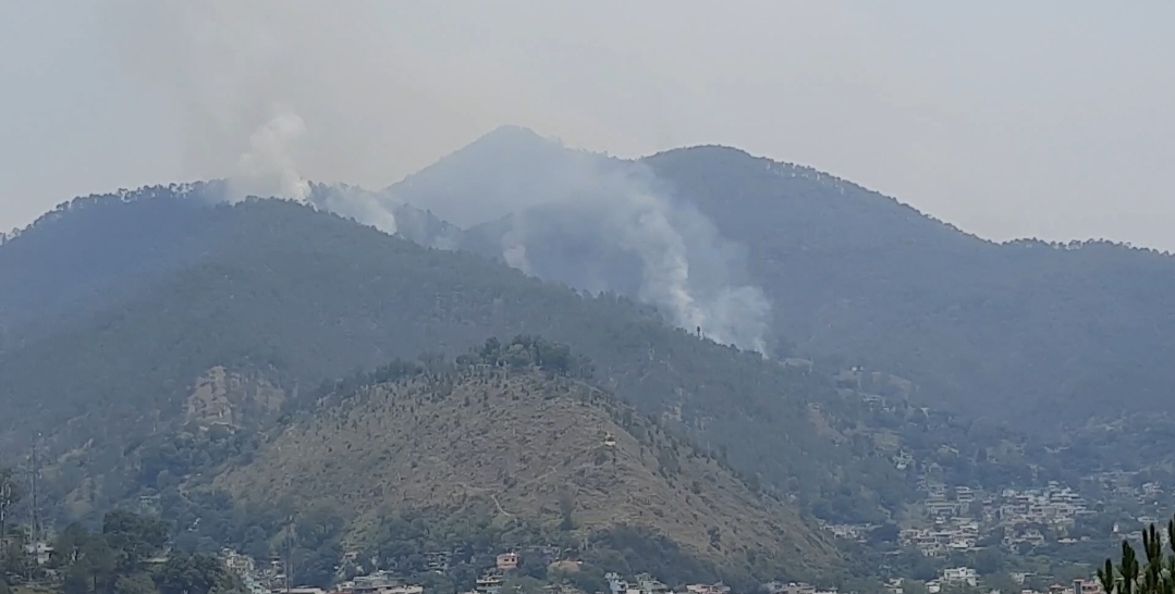 Bageshwar Forest Fire