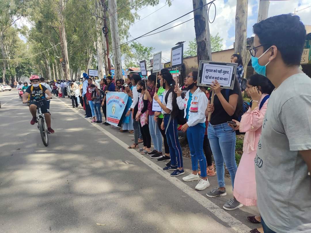 Chipko campaign to save trees at dehradun