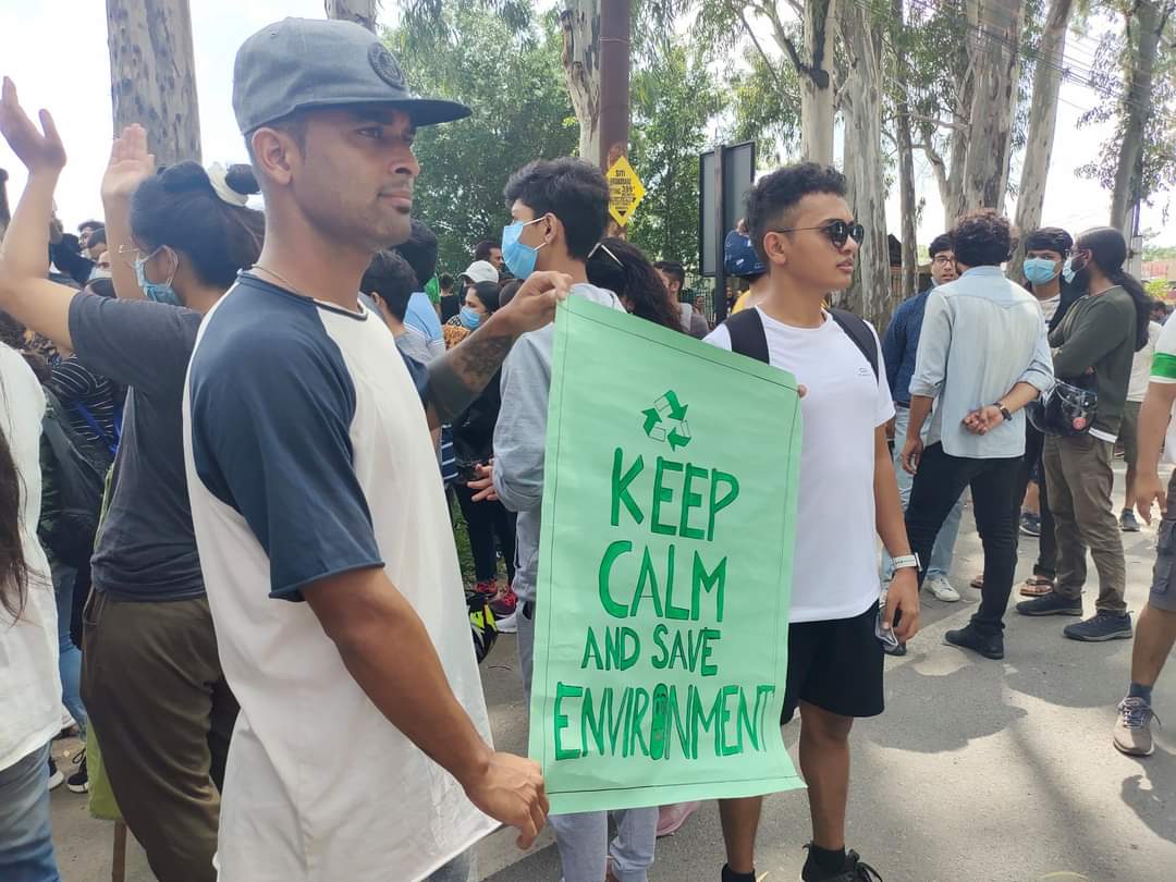 Chipko campaign to save trees at dehradun