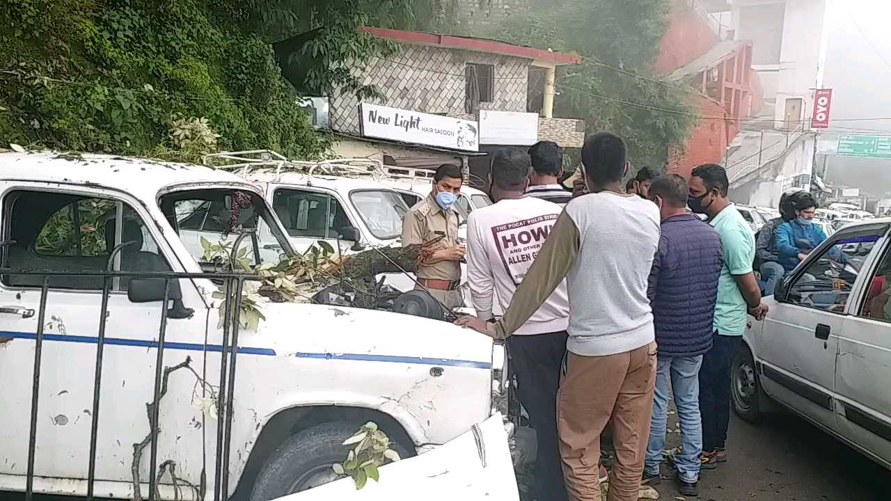 vehicles damaged due to tree fall