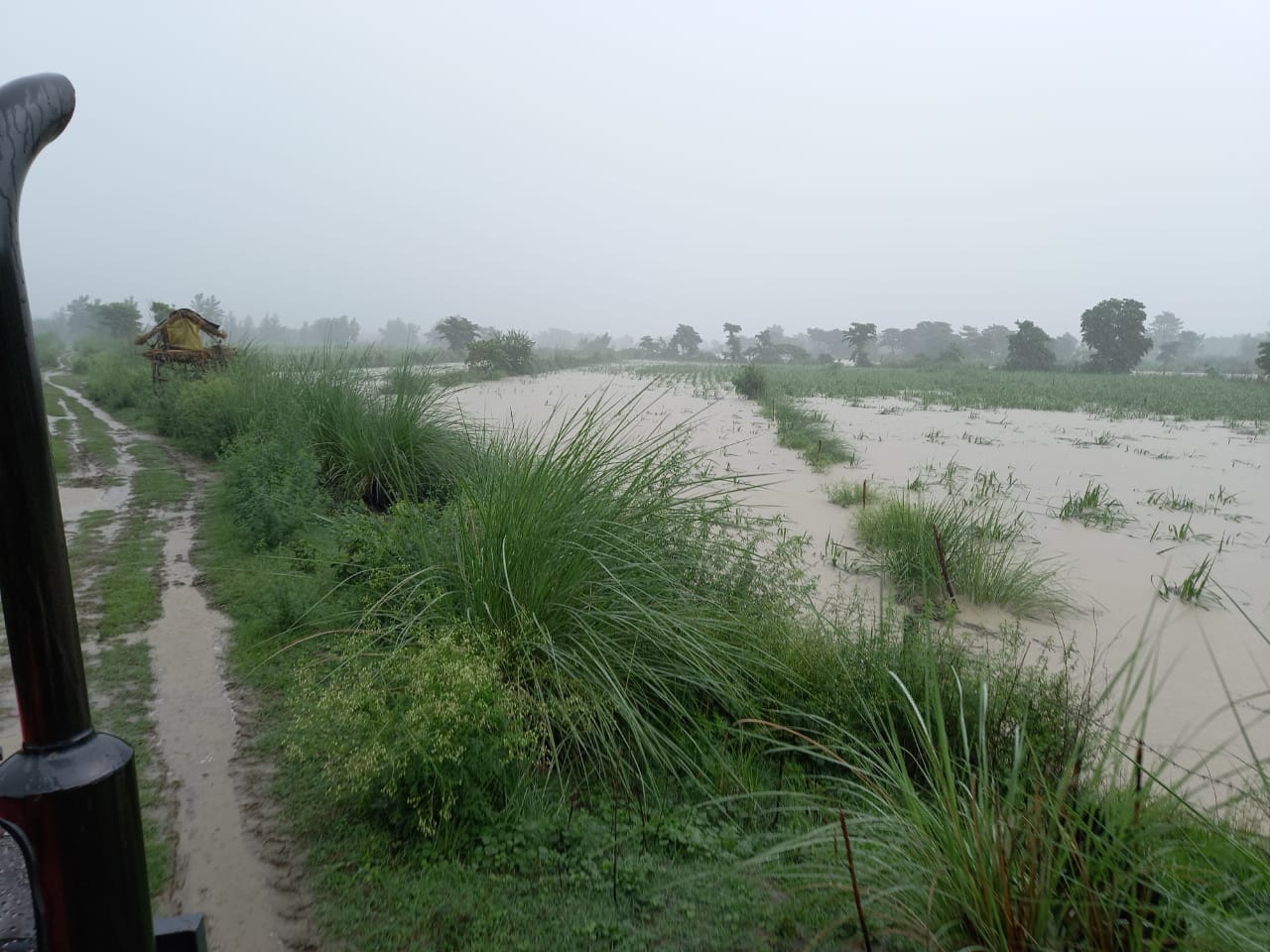 Laksar flood news