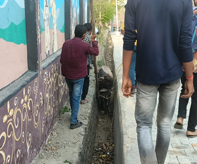 drain in Ramnagar