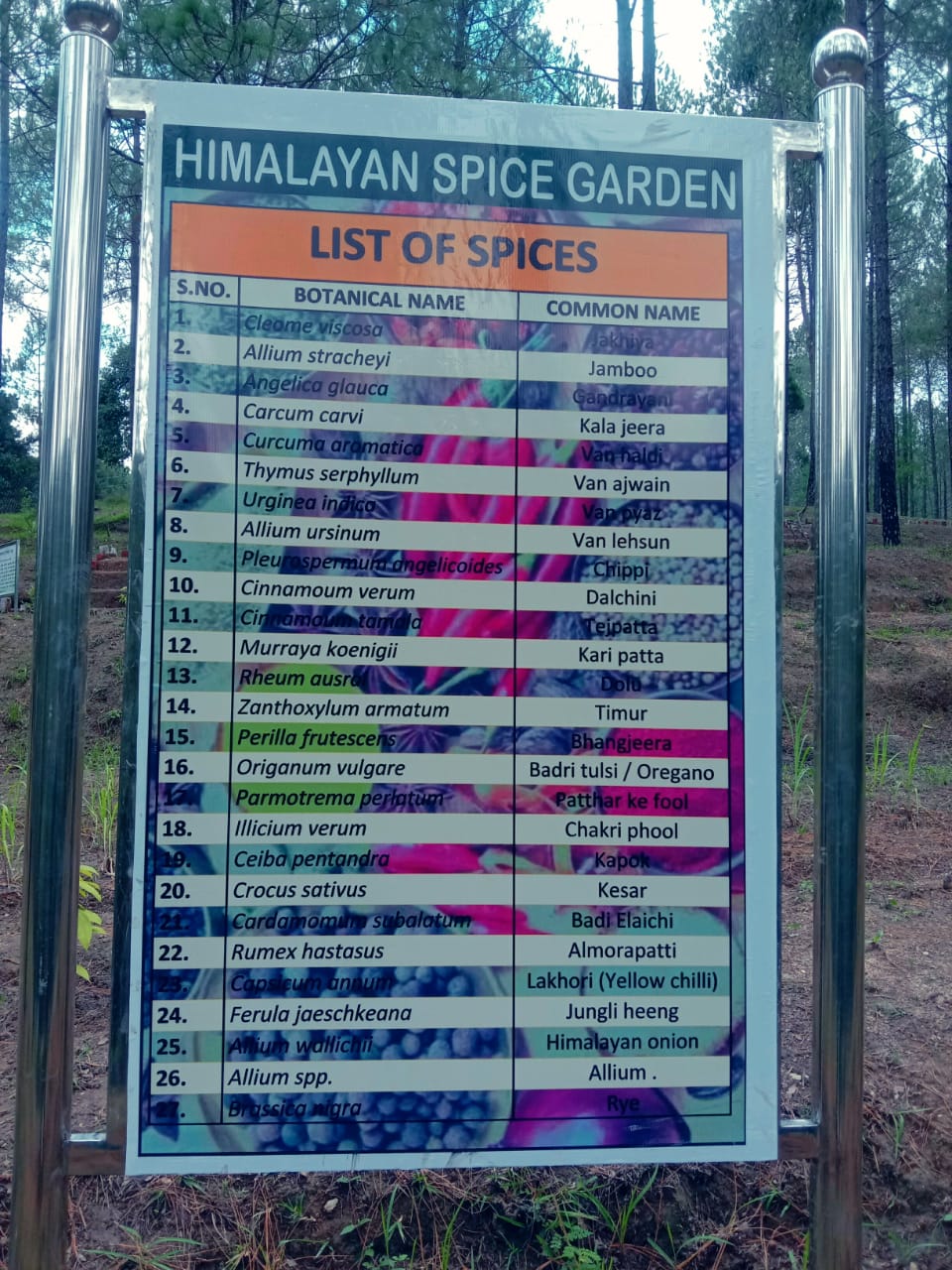 Himalayan Spice Garden