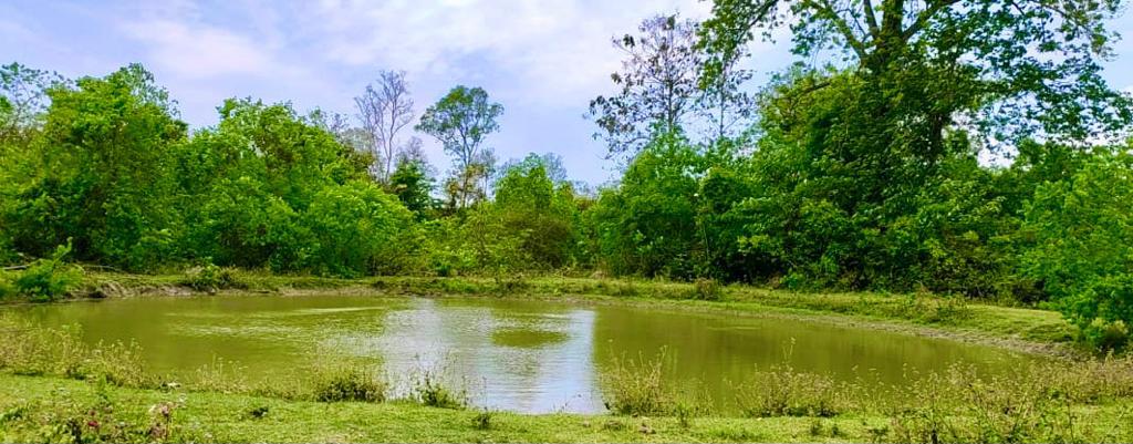 waterholes for wild animals