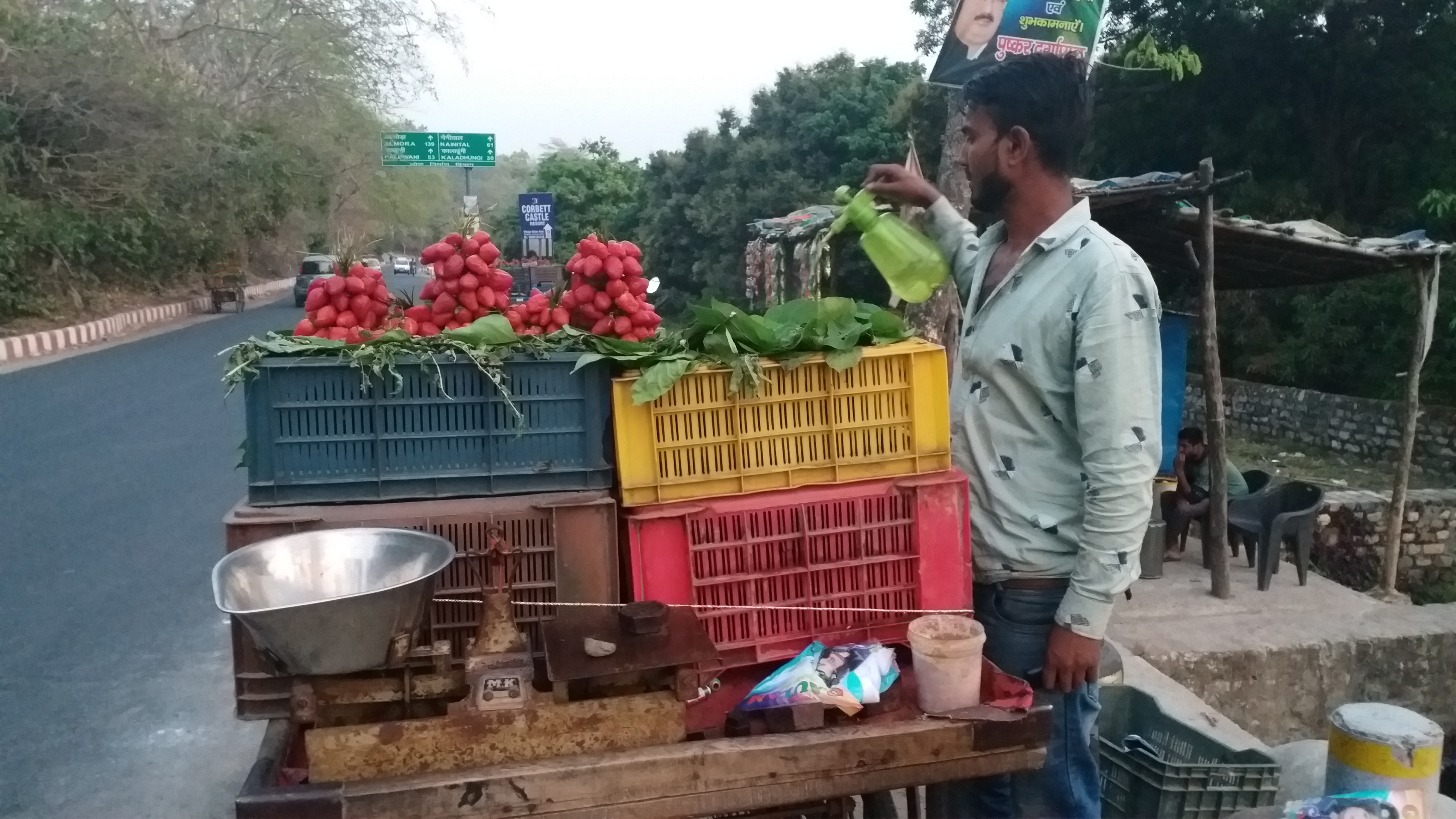 rajesh-started-strawberry-cultivation-in-lockdown