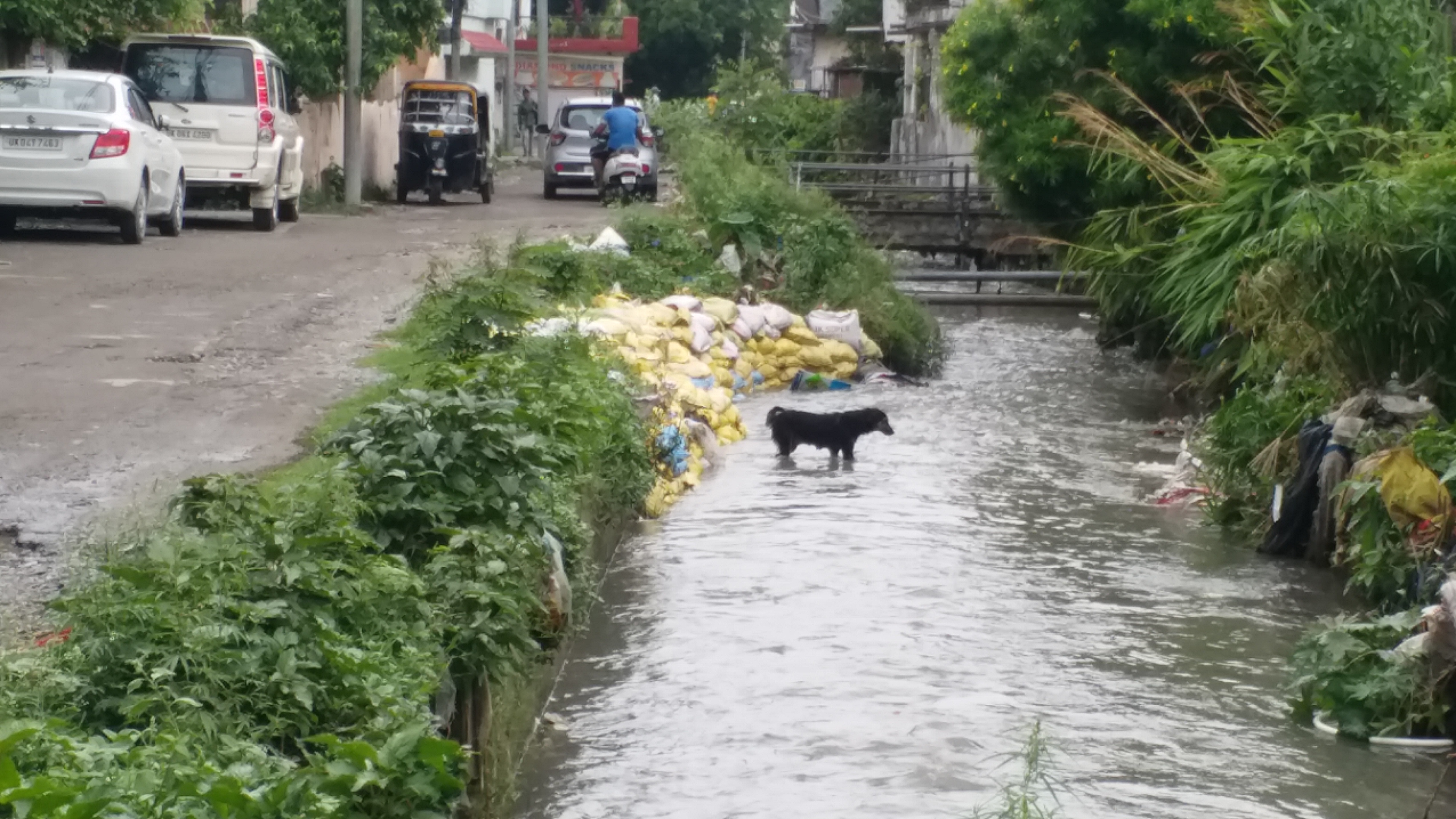 नहर की कवरिंग का काम करेगा अब सिंचाई विभाग