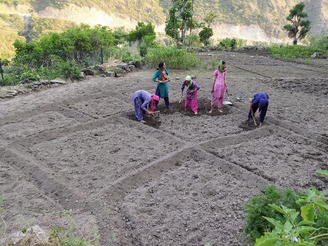 महिलाएं कर रहीं सब्जियों की अच्छा उत्पाद